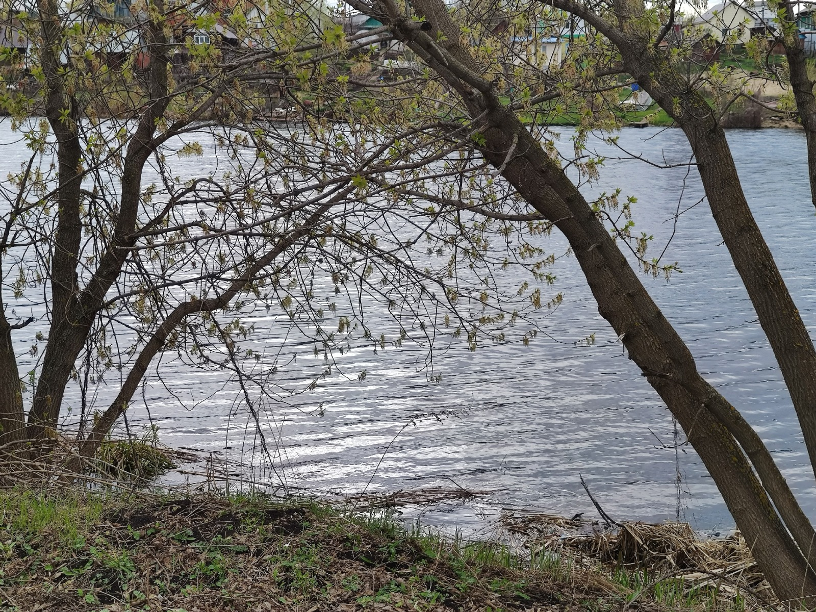 Дарьи Святохиной. «Общественная электронная газета».