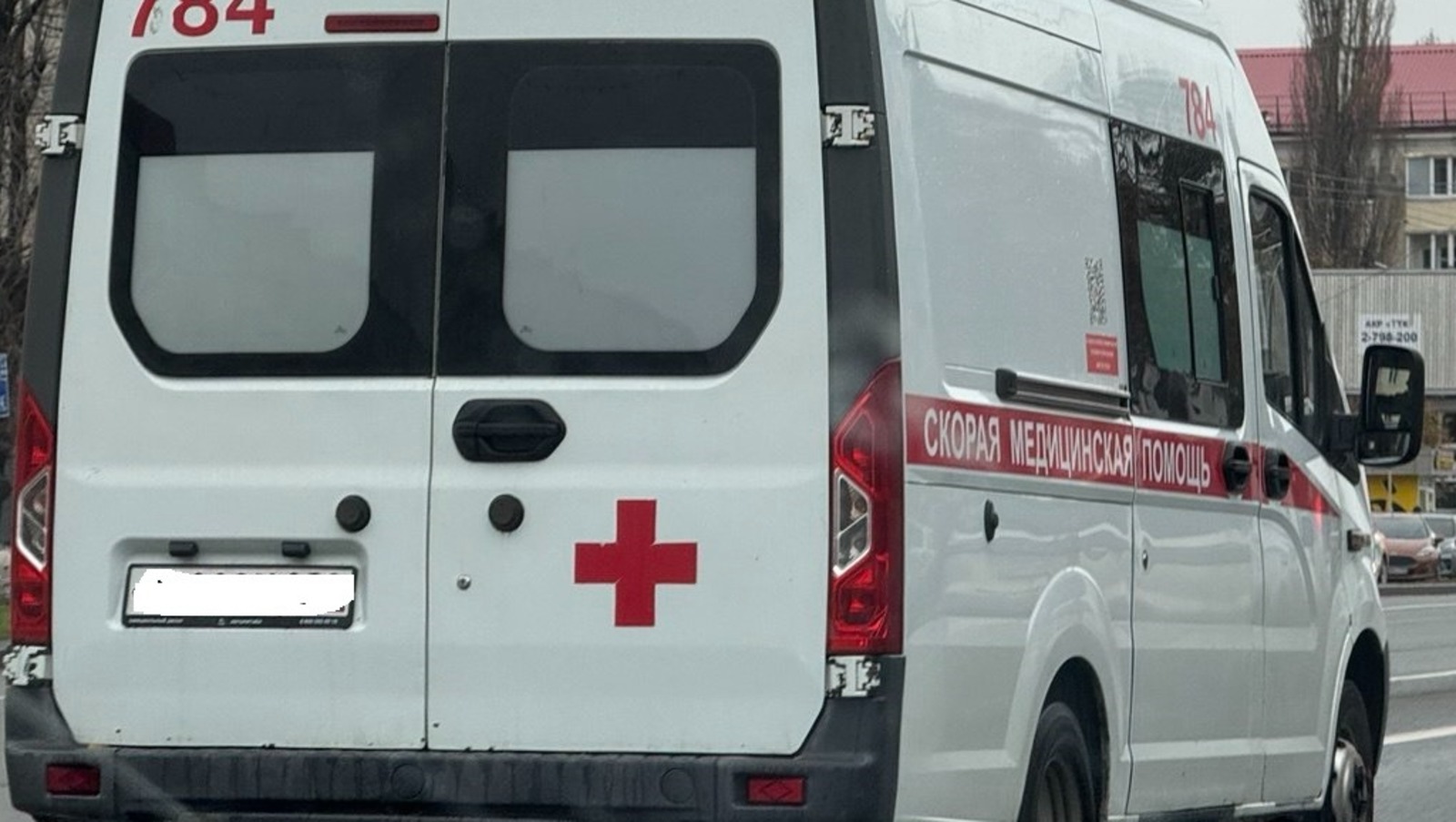 Елены Колоколовой.