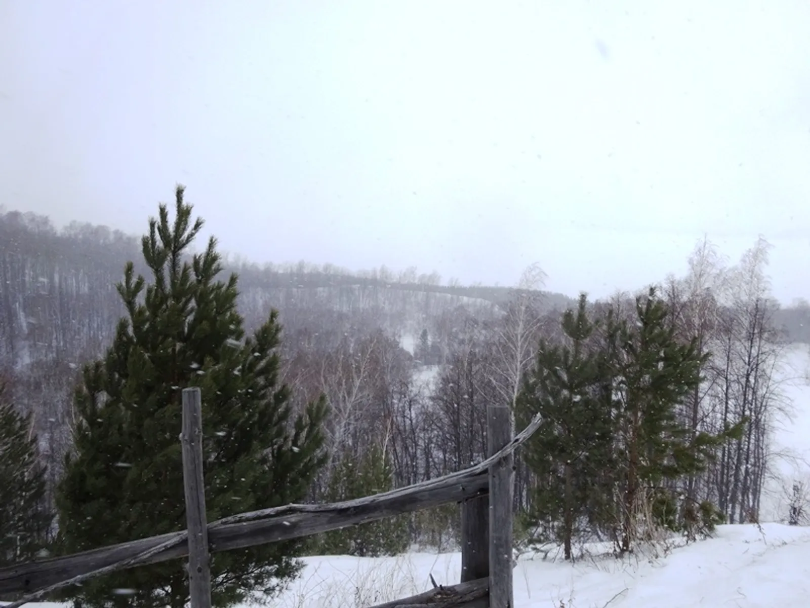 Фото автора.