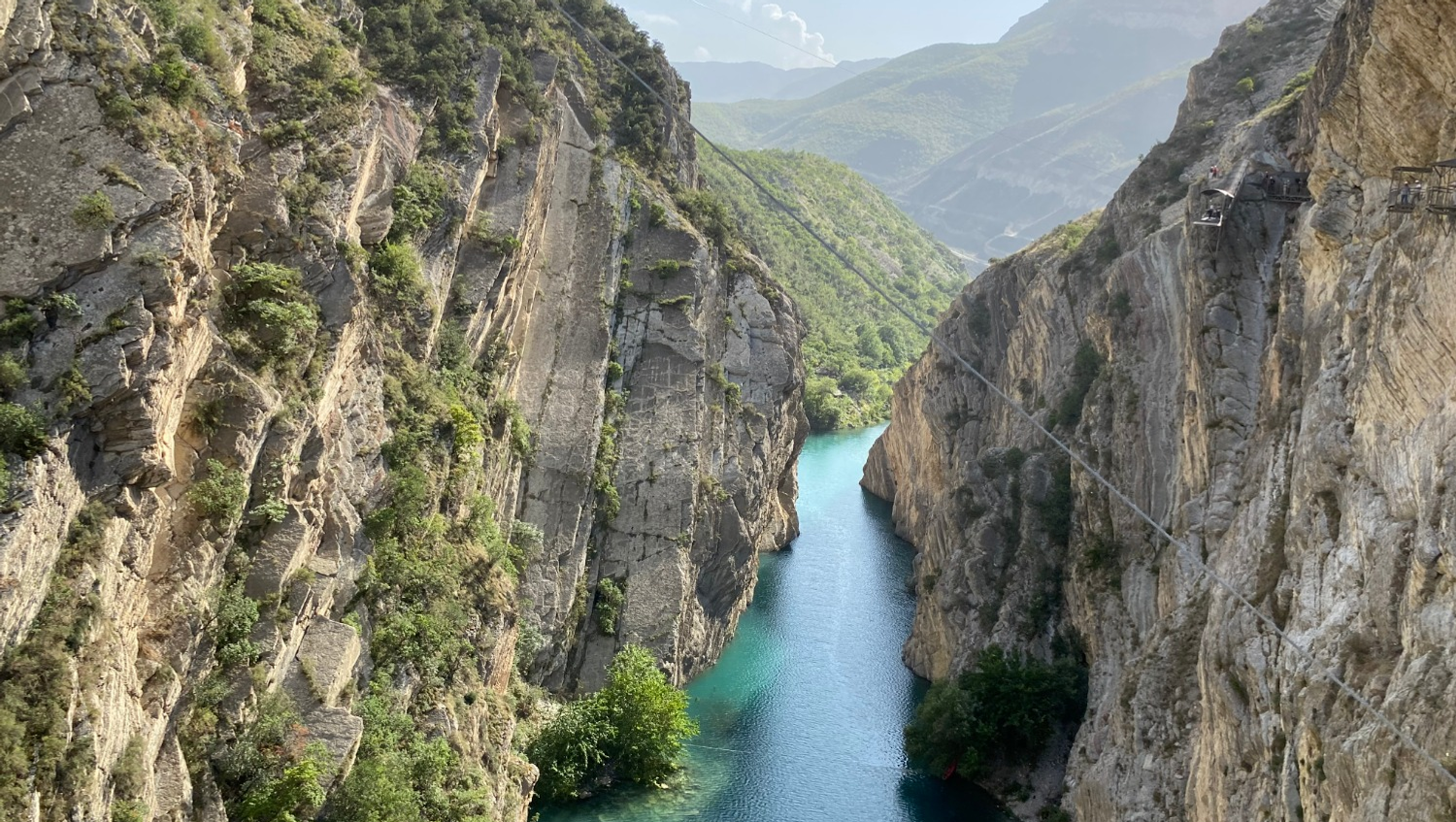 Елены Колоколовой.