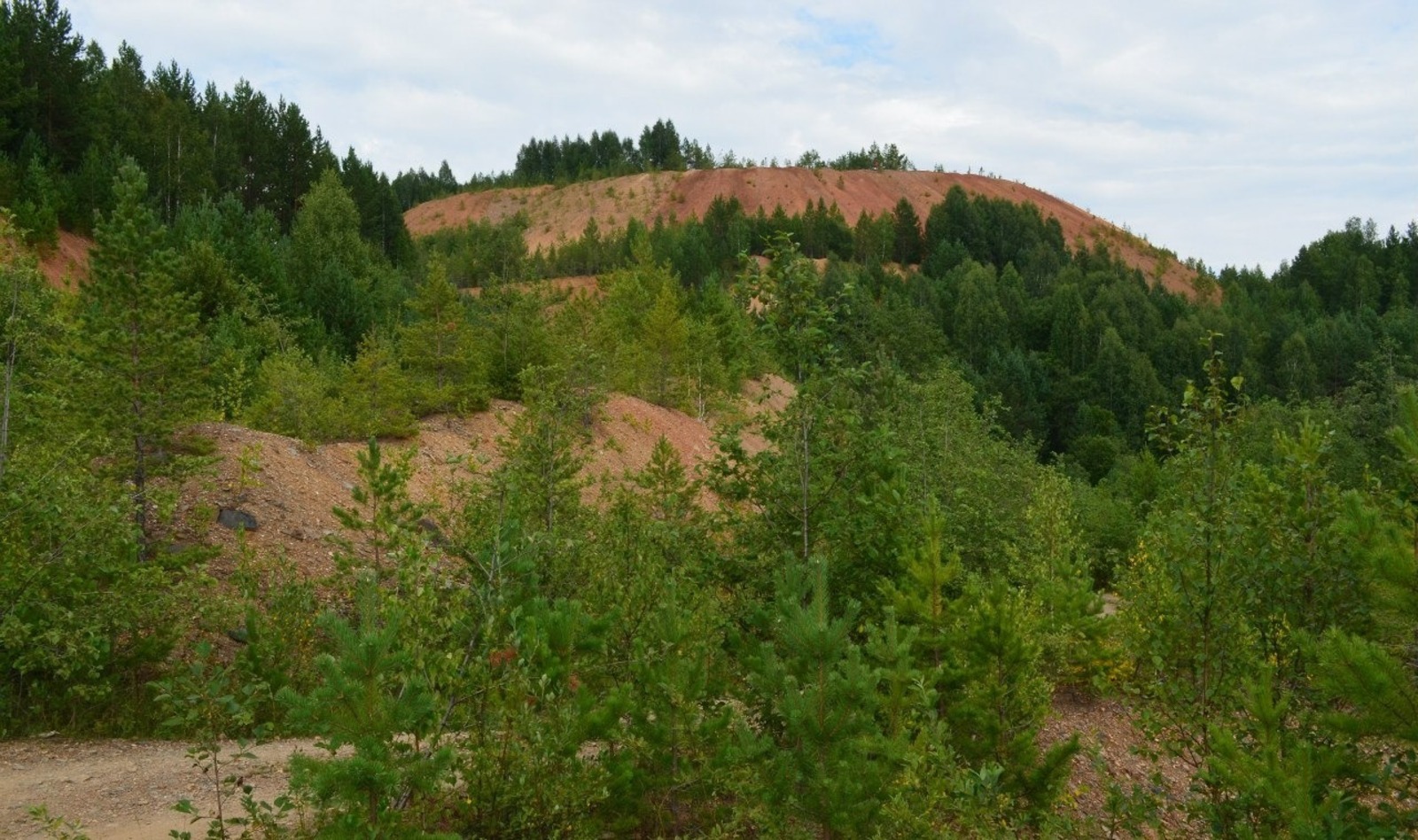 Владимира Шакиева.
