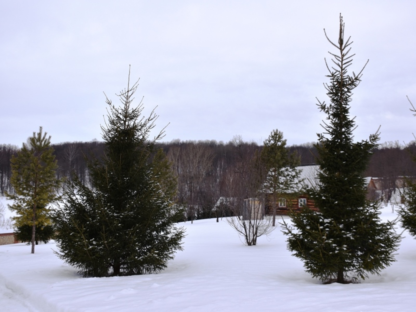 Фото автора.