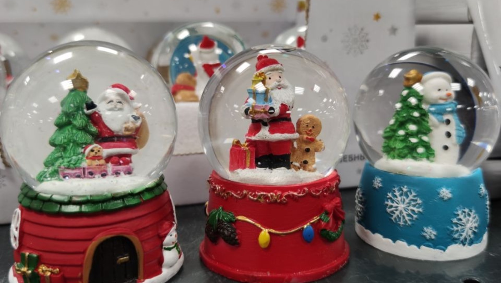 Дарьи Святохиной.