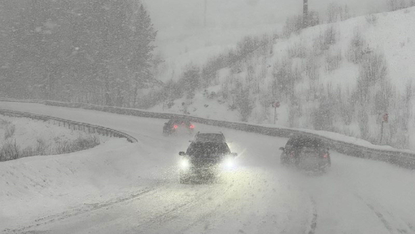 Елены Колоколовой. «Общественная электронная газета».