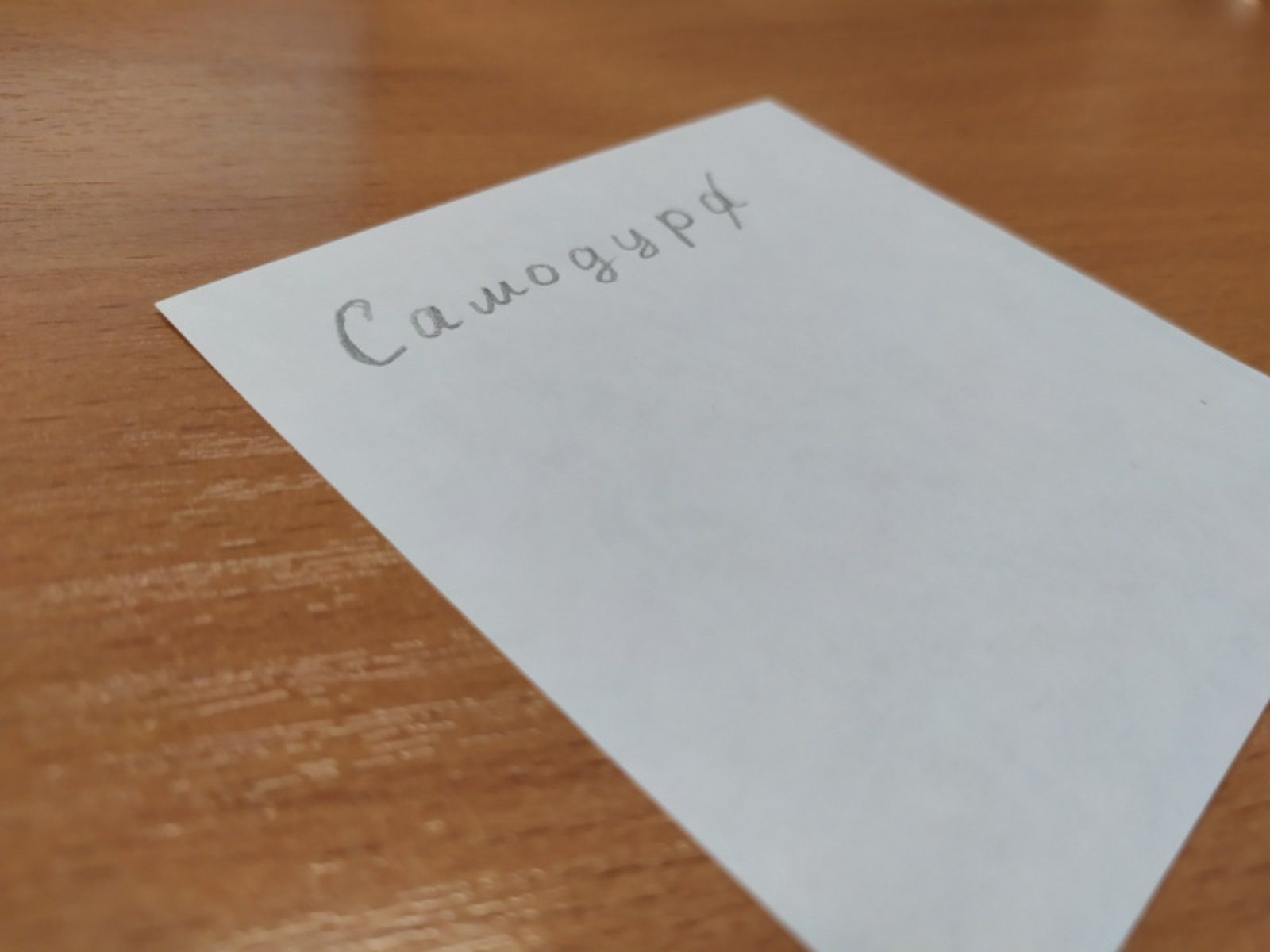 Фото Васили Саитовой.