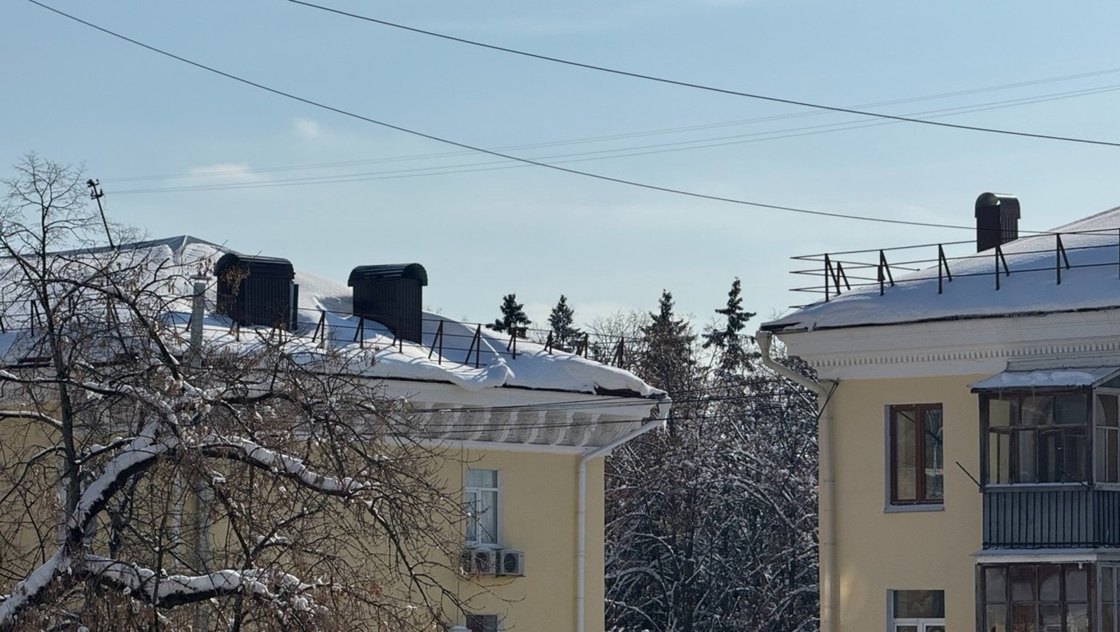 Елены Колоколовой.  «Общественная электронная газета».