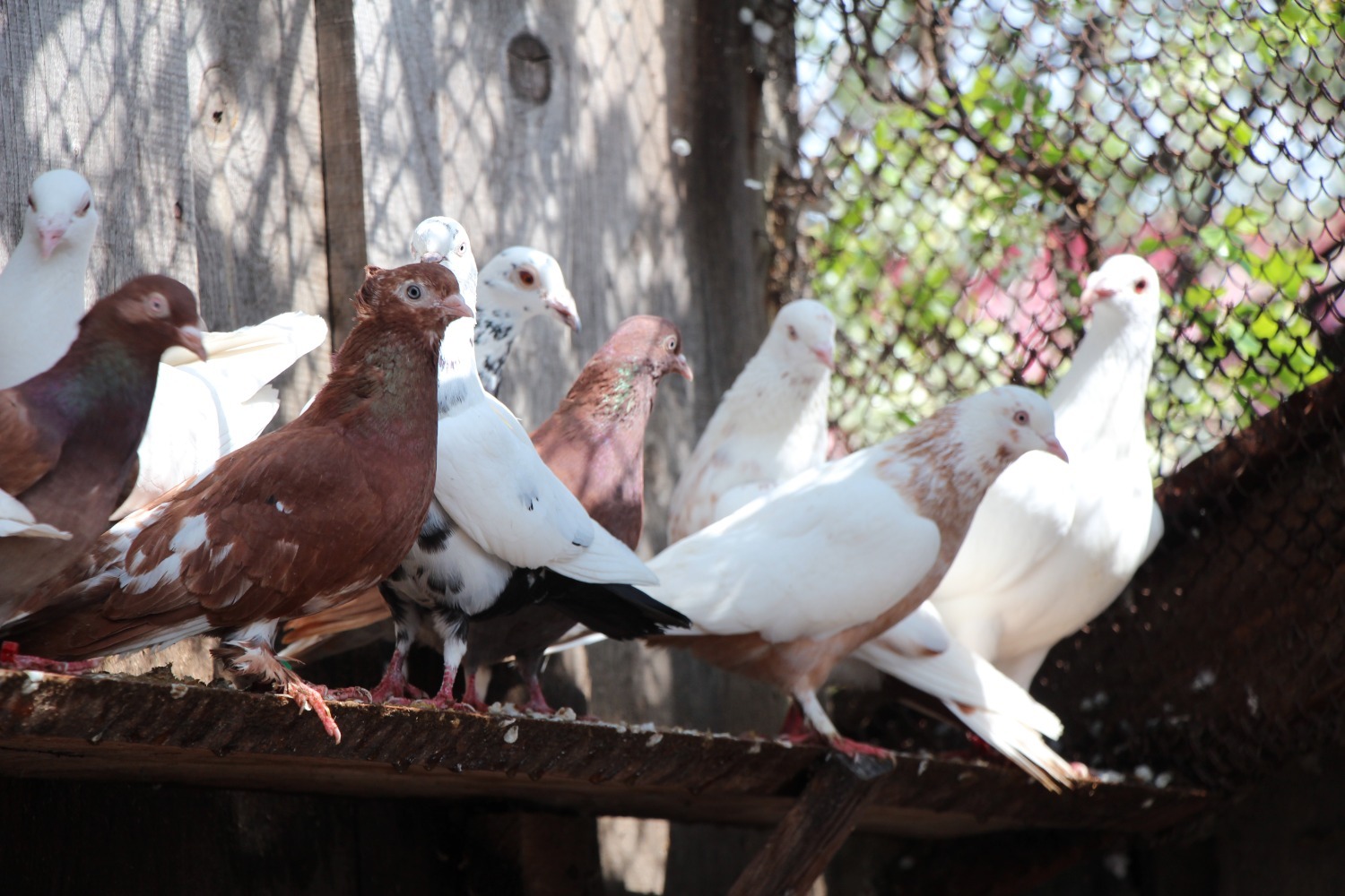 Евгении Сюткиной.