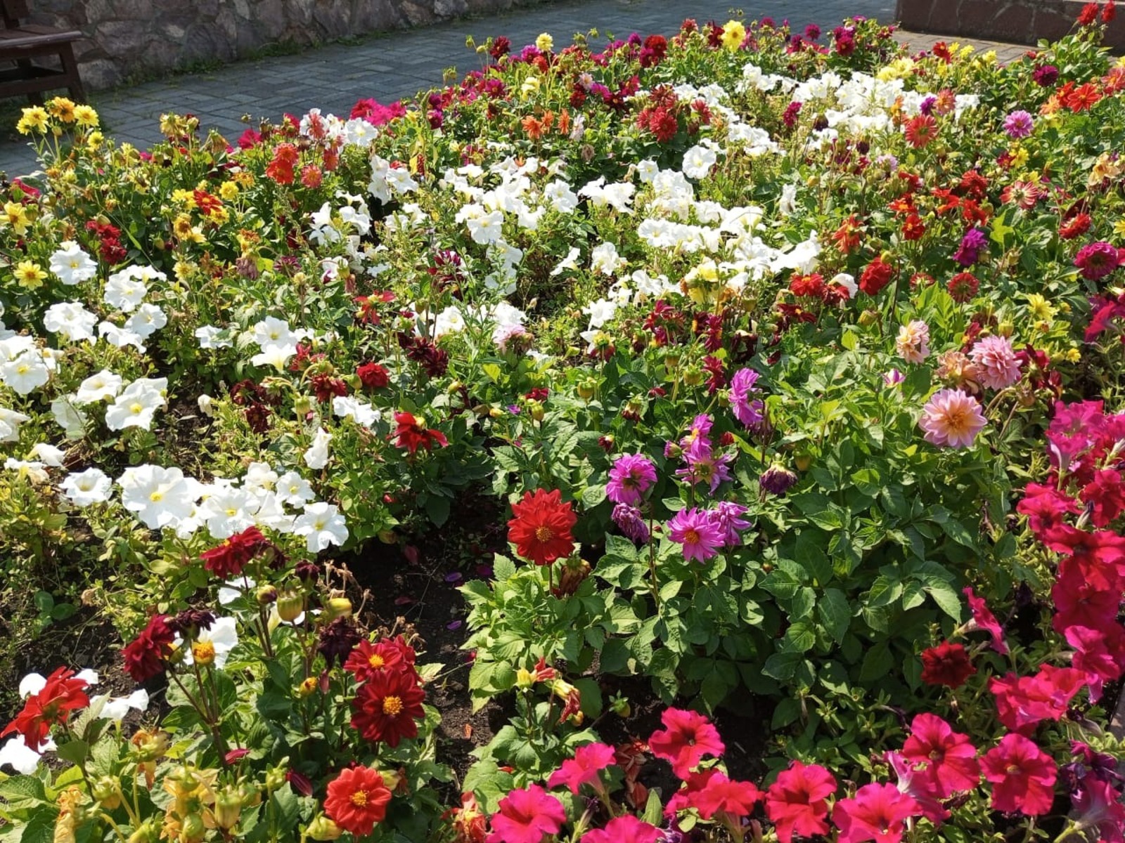 Евгении Сюткиной.