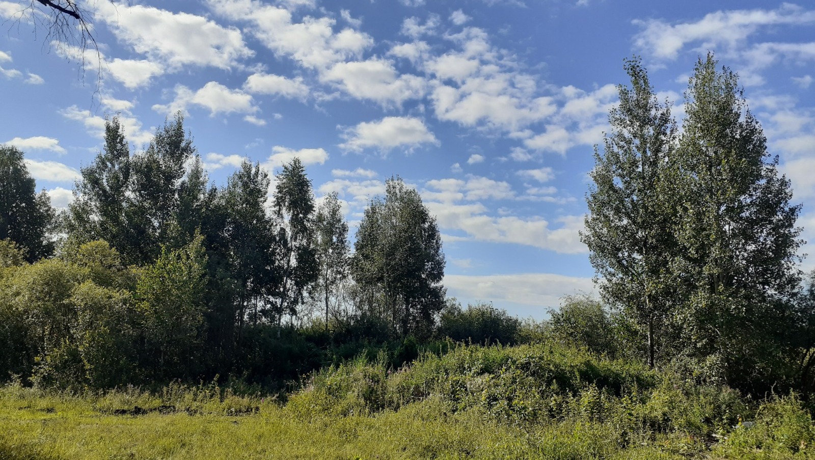 Владимира Шакиева.