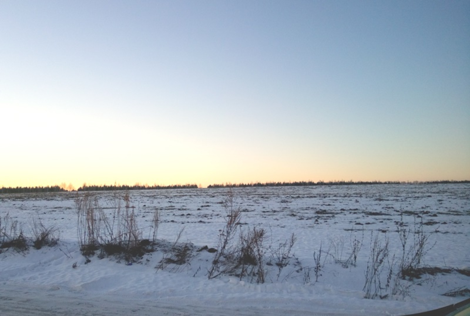 Фото Васили Саитовой.