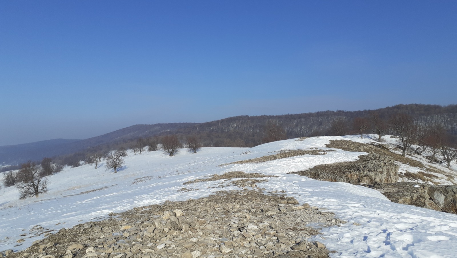 Владимира Шакиева.