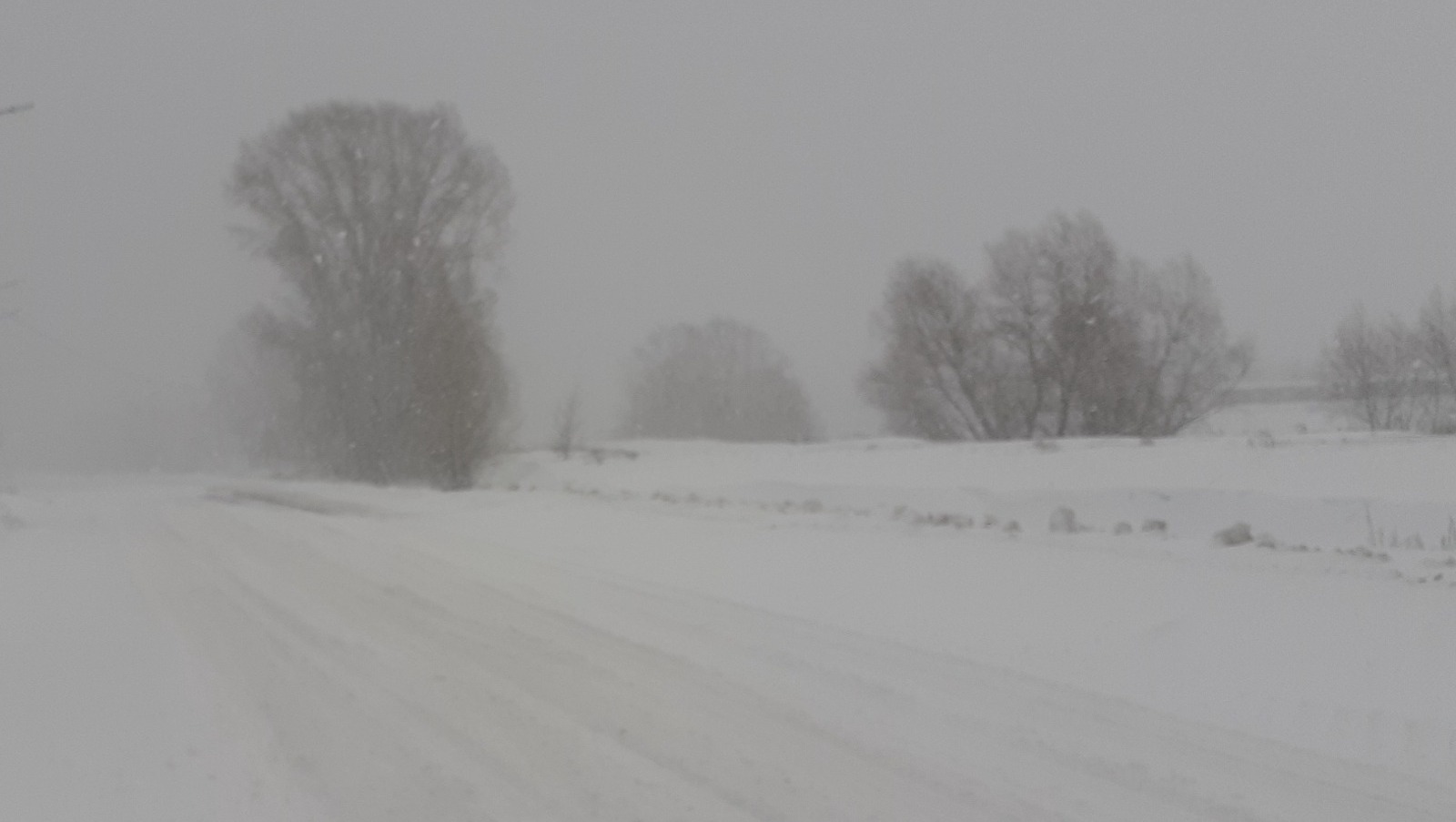 Владимира Шакиева. «Общественная электронная газета».
