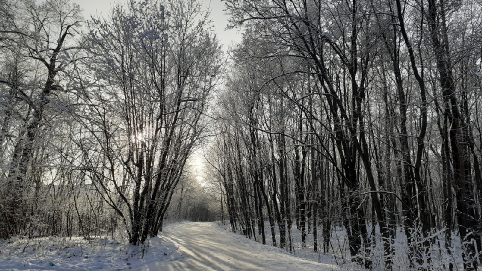 Фото автора.