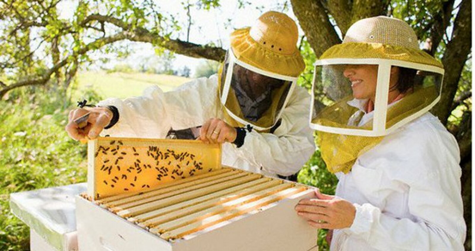 Фото с сайта www.ikirov.ru.