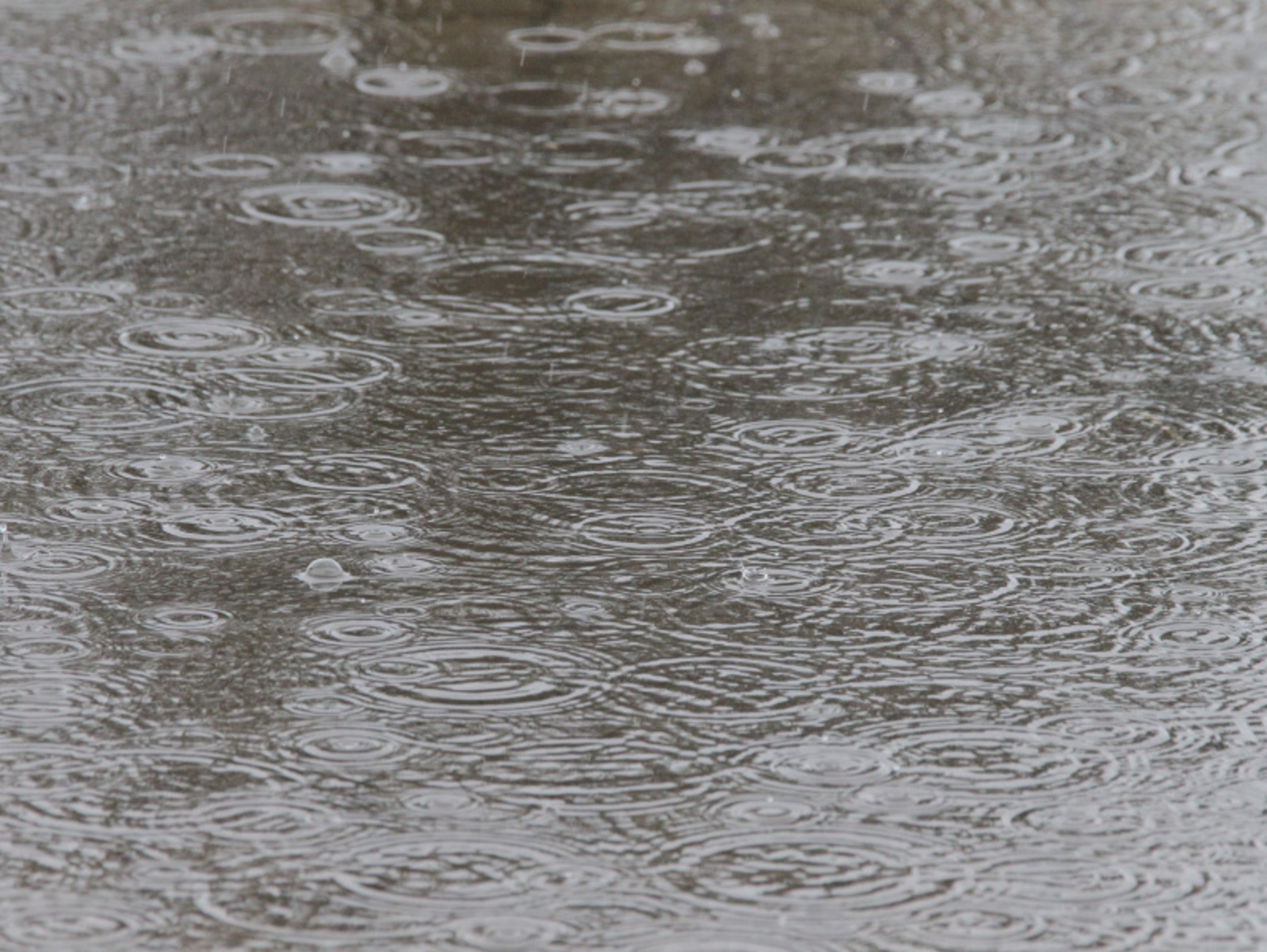 Фото Олега Яровикова.