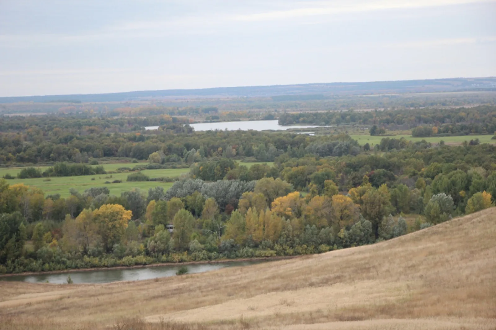 Фото автора.