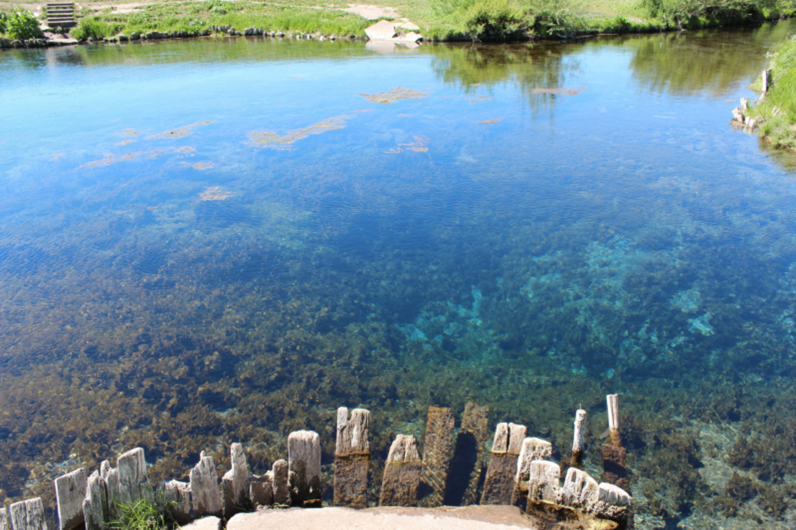 Фото автора.