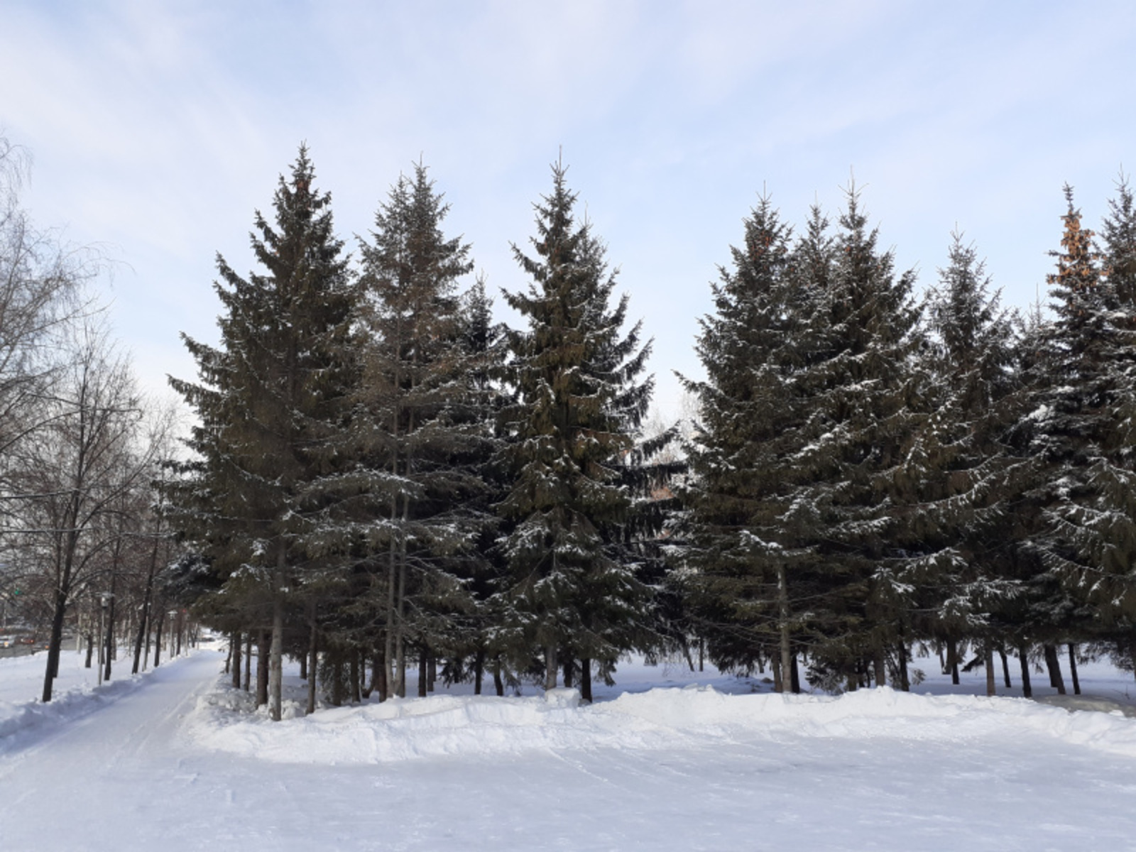 Фото Владимира Шакиева.