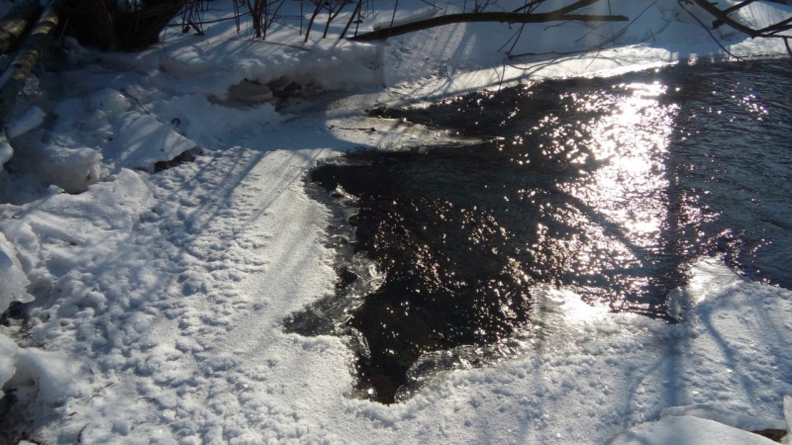 Фото Евгении Сюткиной.