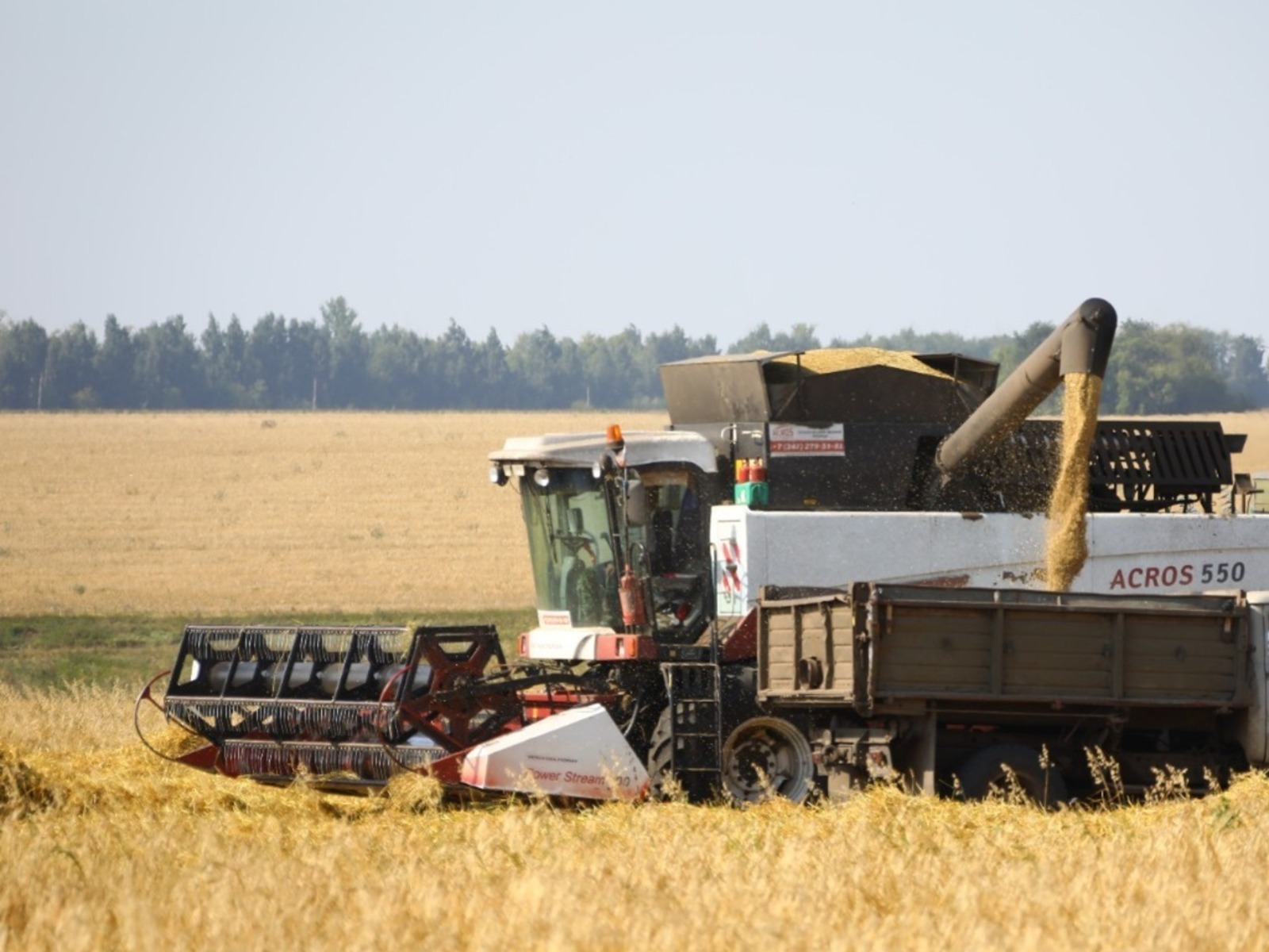 ИА «Башинформ».