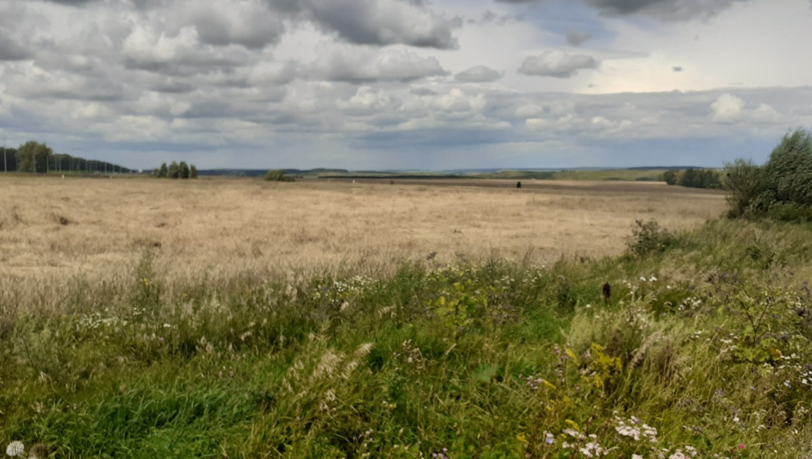 Владимира Шакиева.