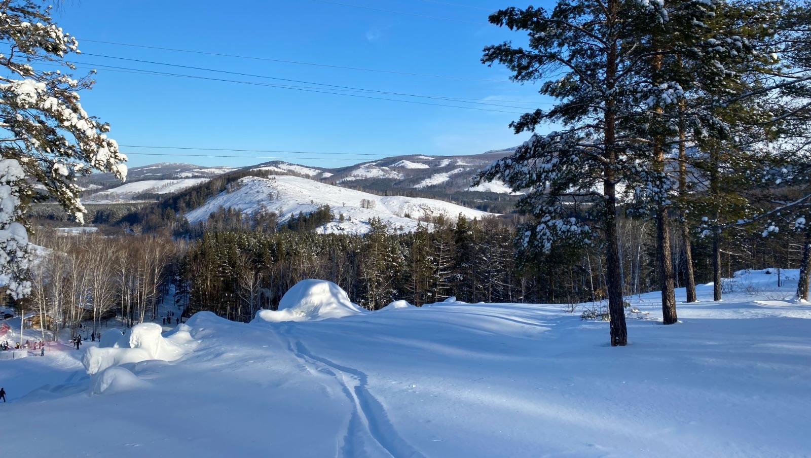 Елены Колоколовой. «Общественная электронная газета».