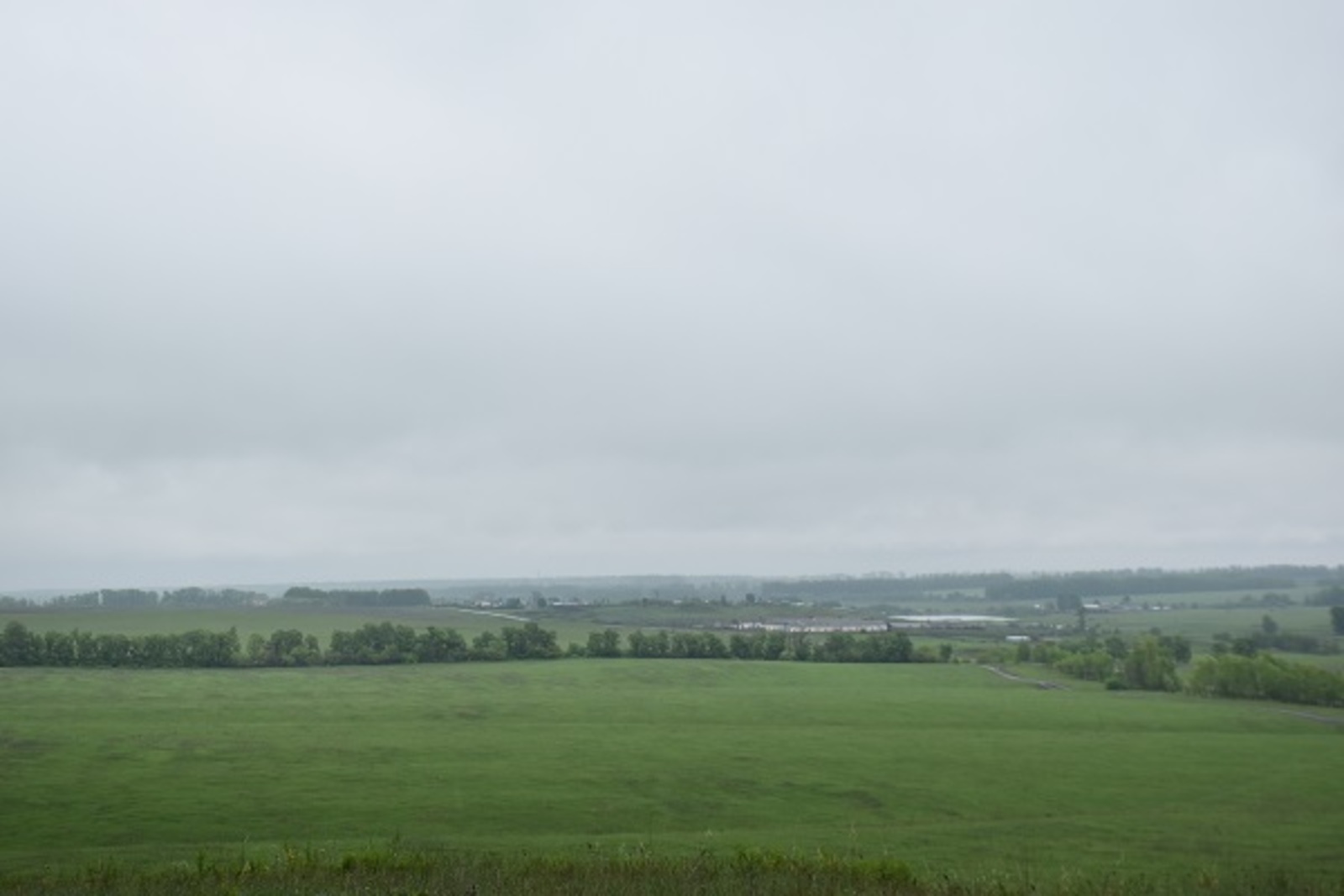 Фото Елены Колоколовой.