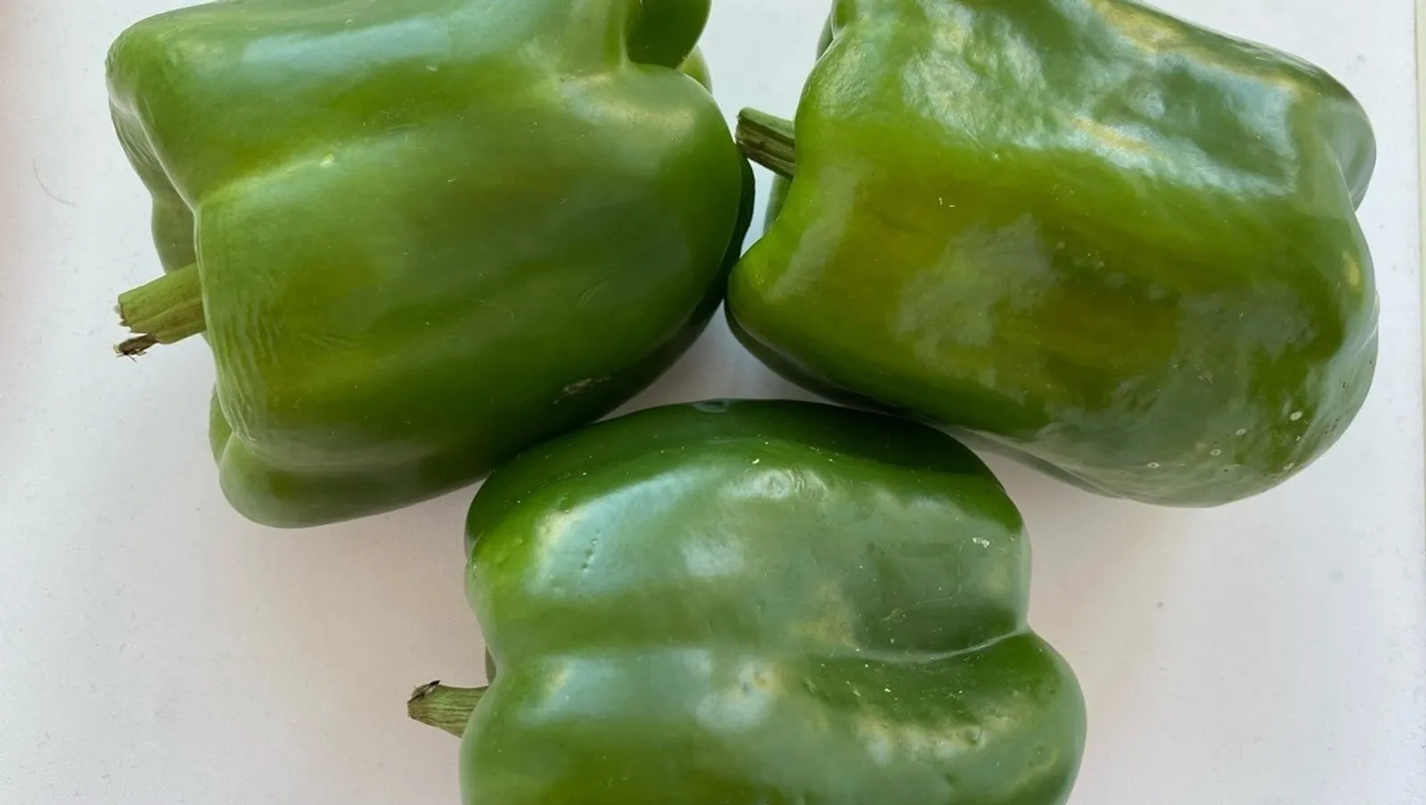 Елены Колоколовой.