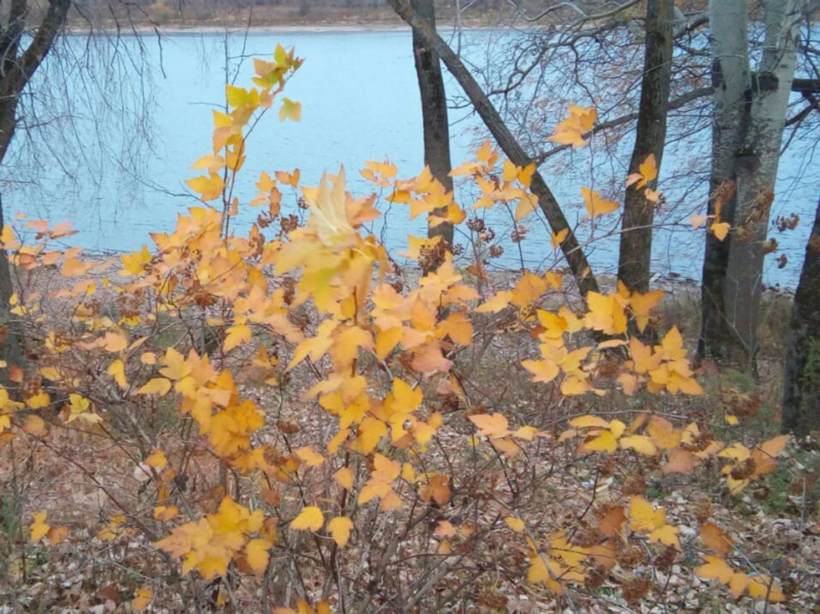 Фото автора.