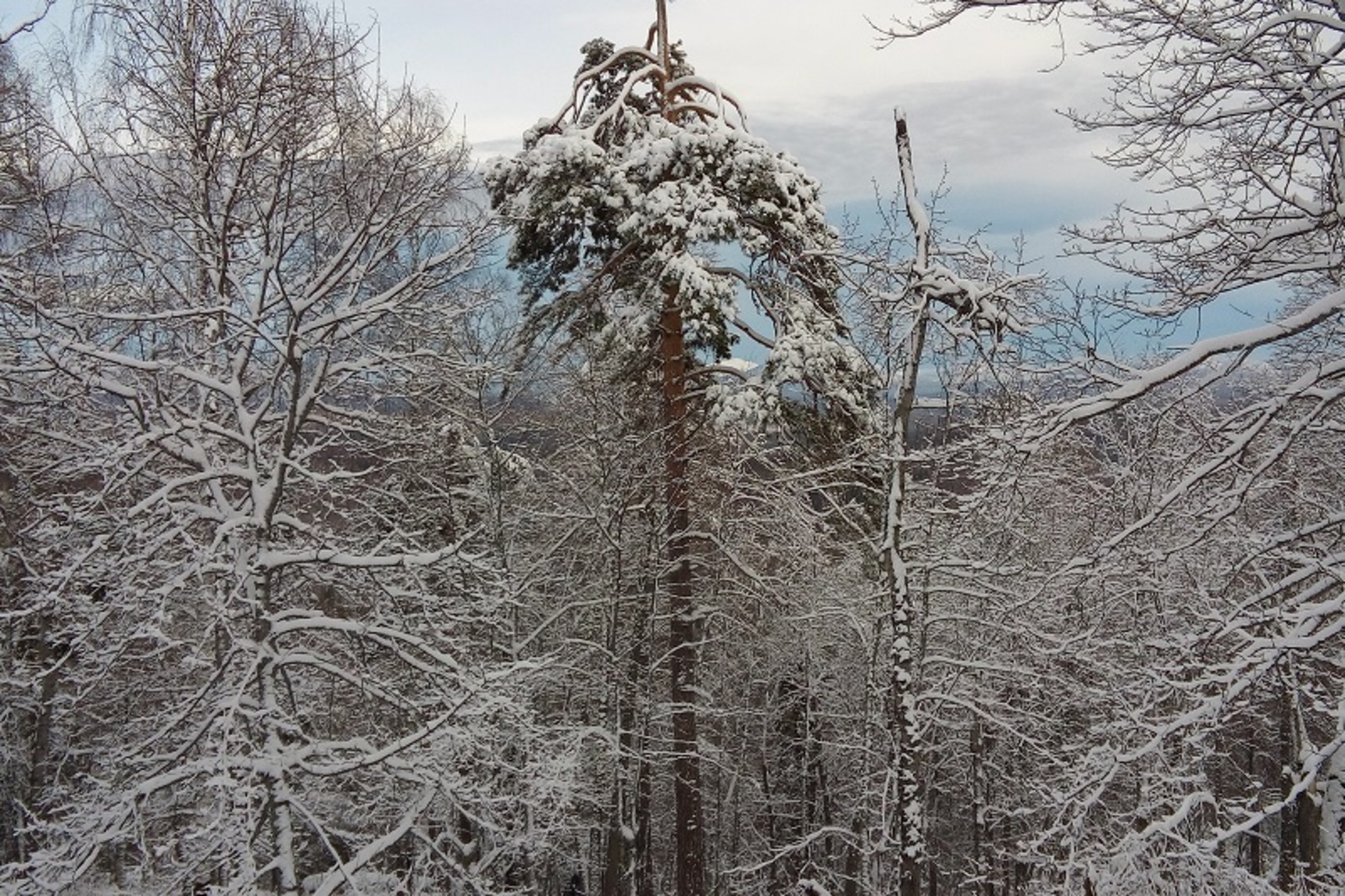 Фото Евгении Сюткиной.