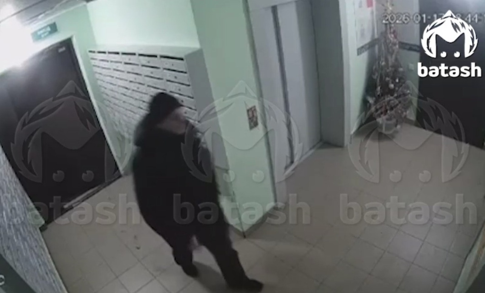 телеграм-канал Mash Batash. скриншот видео.