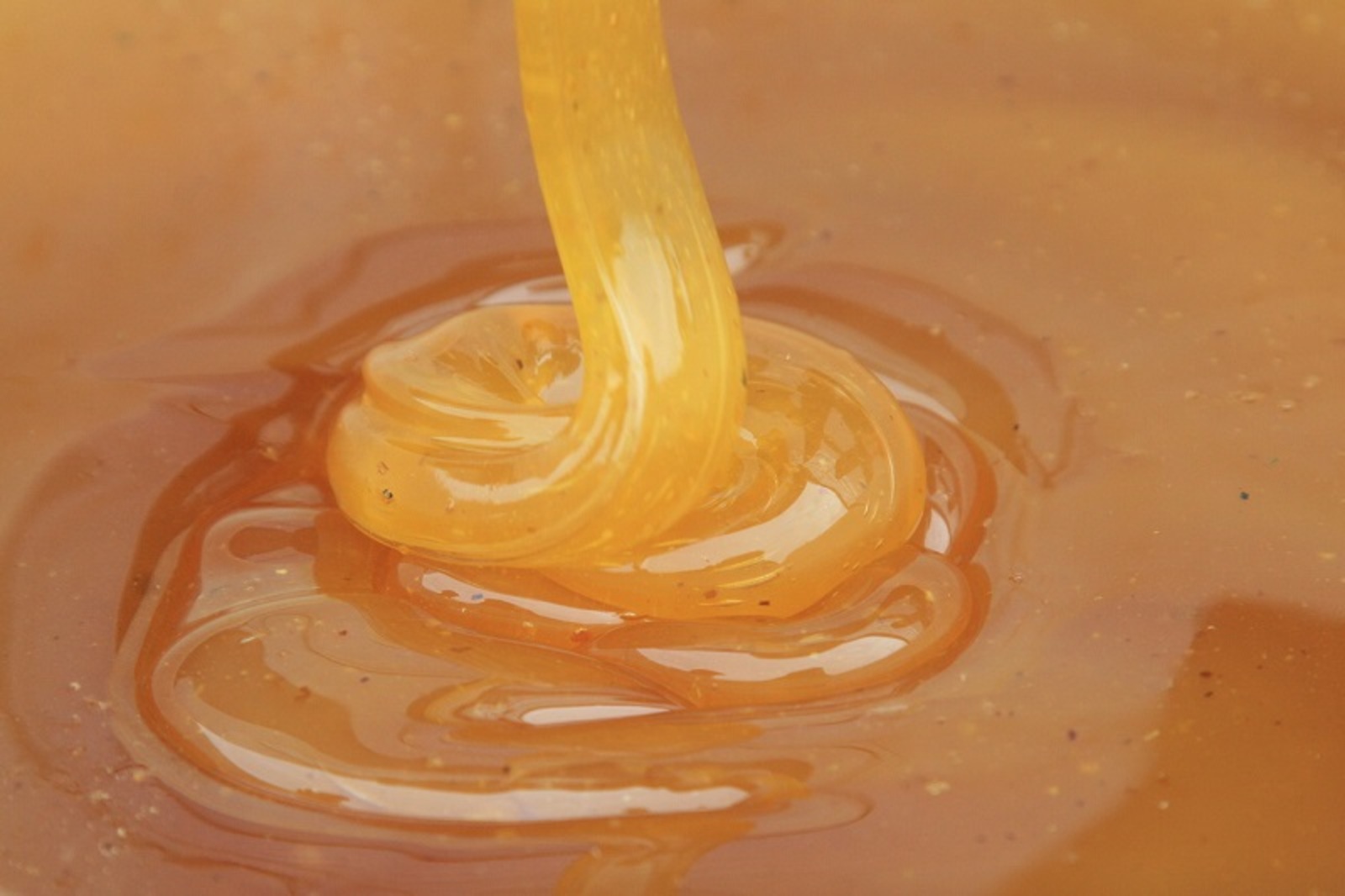 Фото Андрея Старостина.