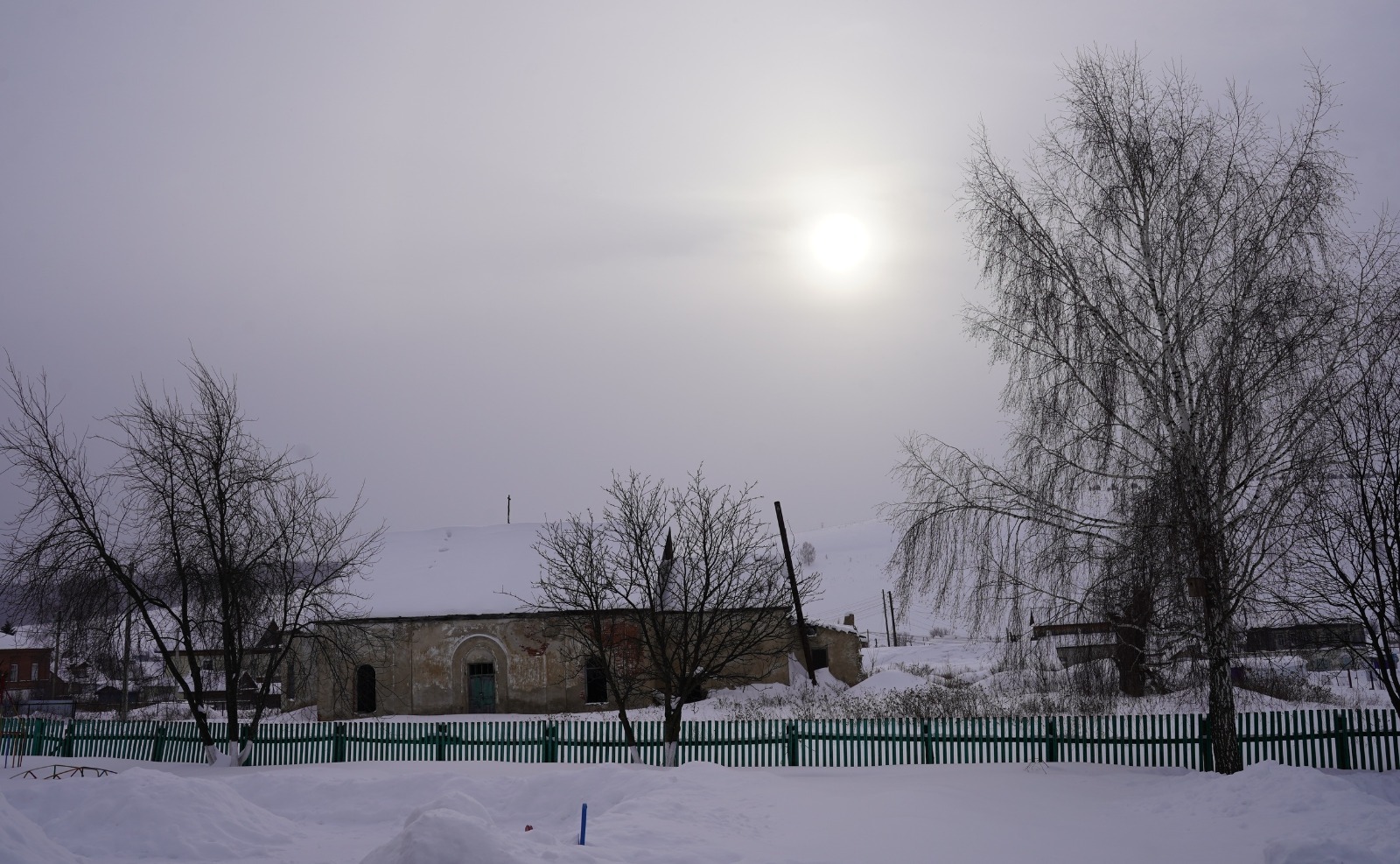 Евгении Сюткиной. «Общественная электронная газета».