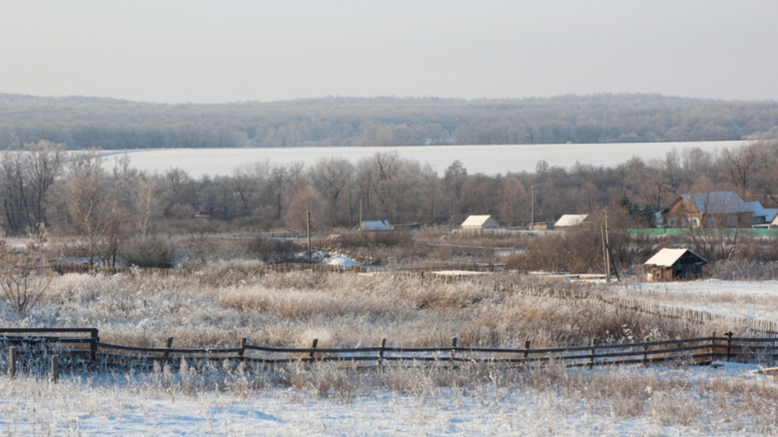 Фото автора.
