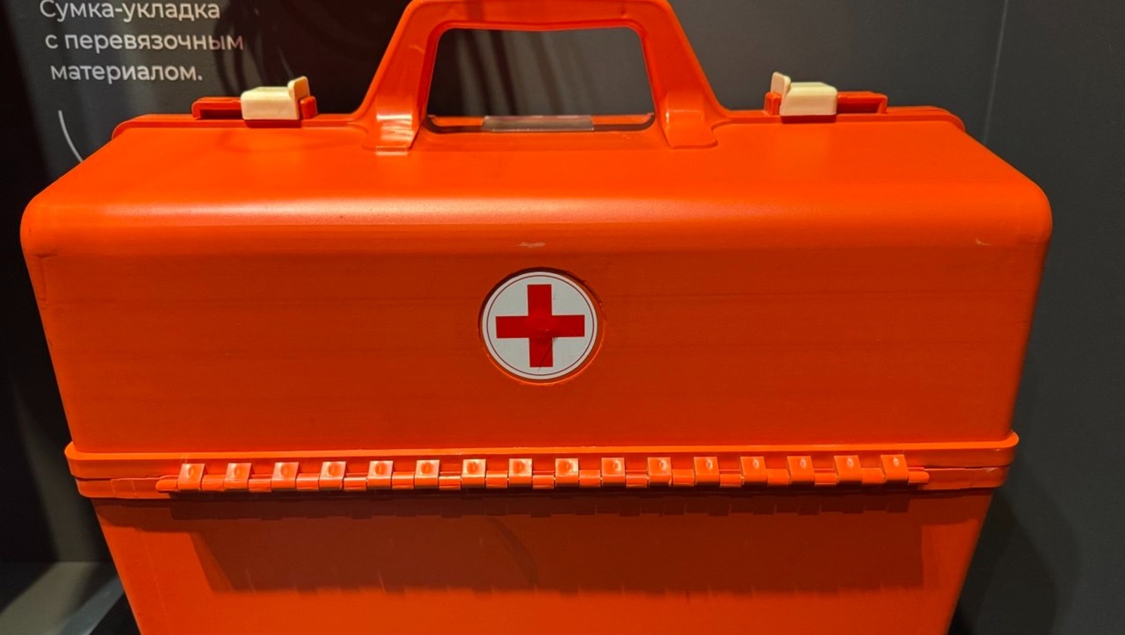 Елены Колоколовой.