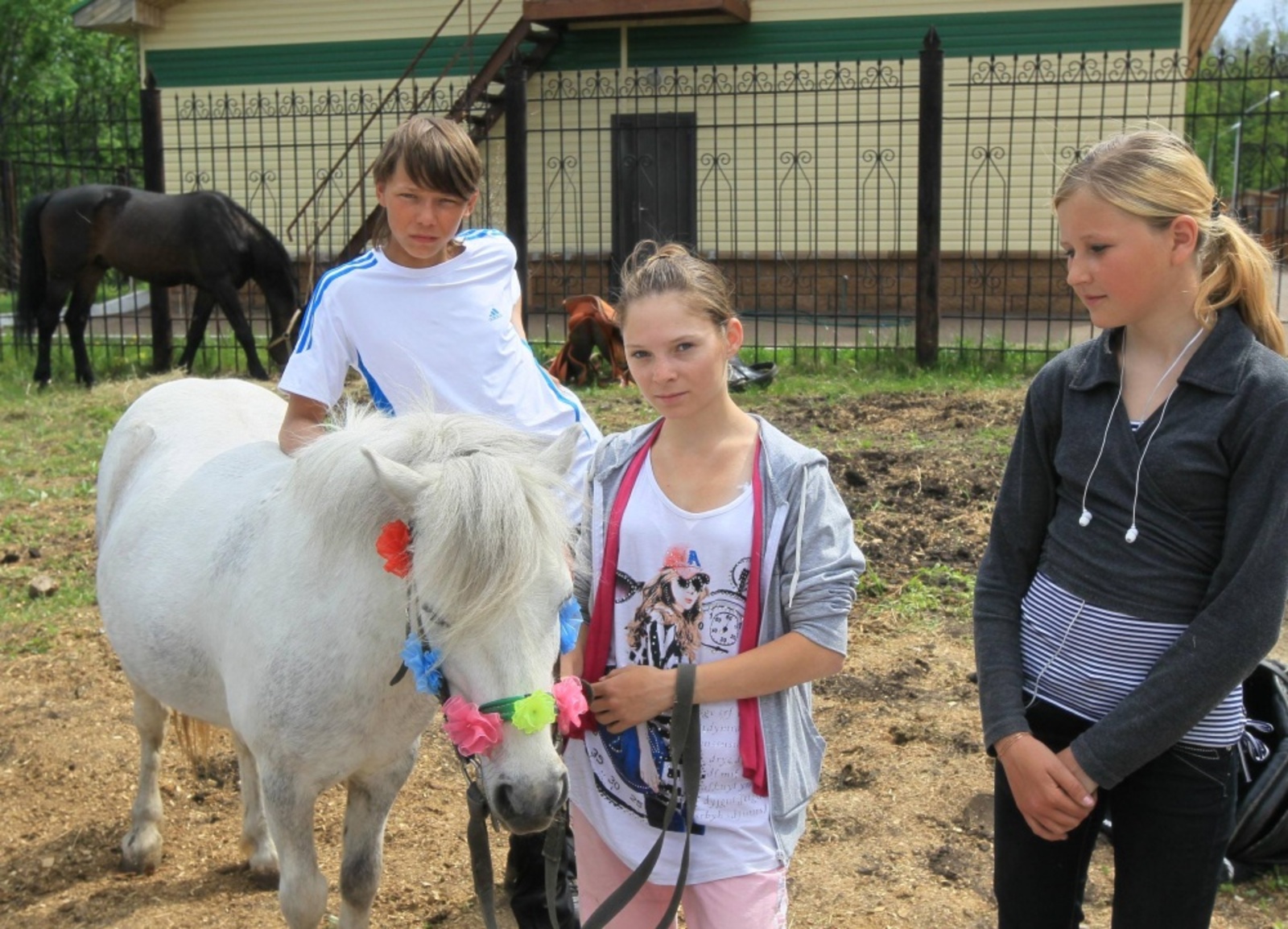 Фото Андрея Старостина.