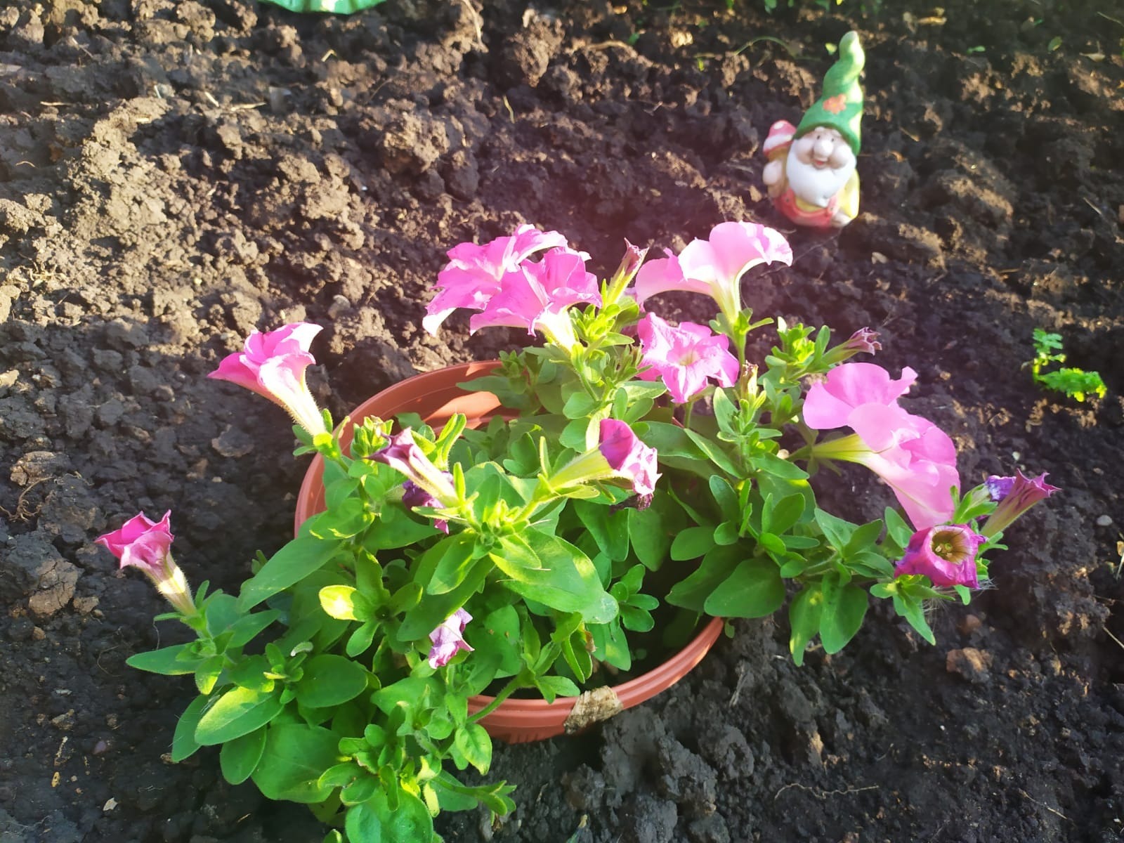 Васили Саитовой.