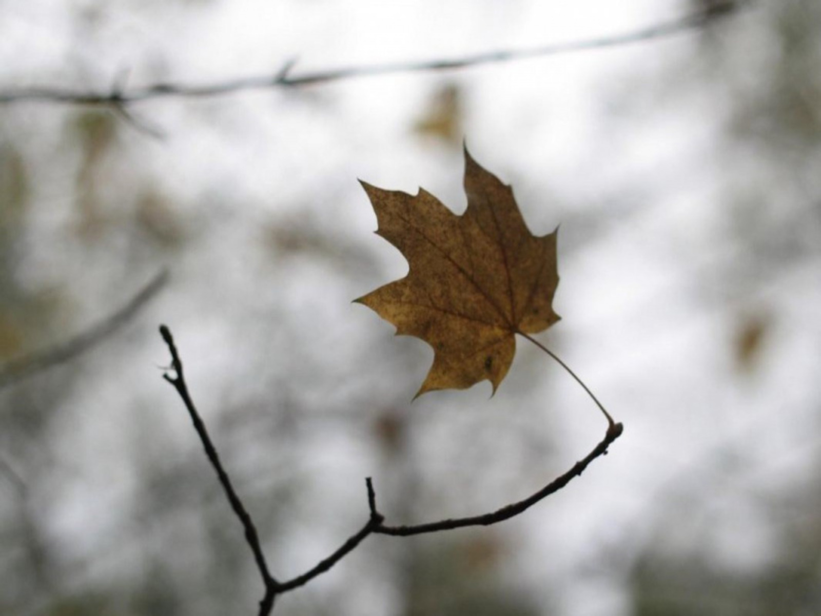 Фото Олега Яровикова.