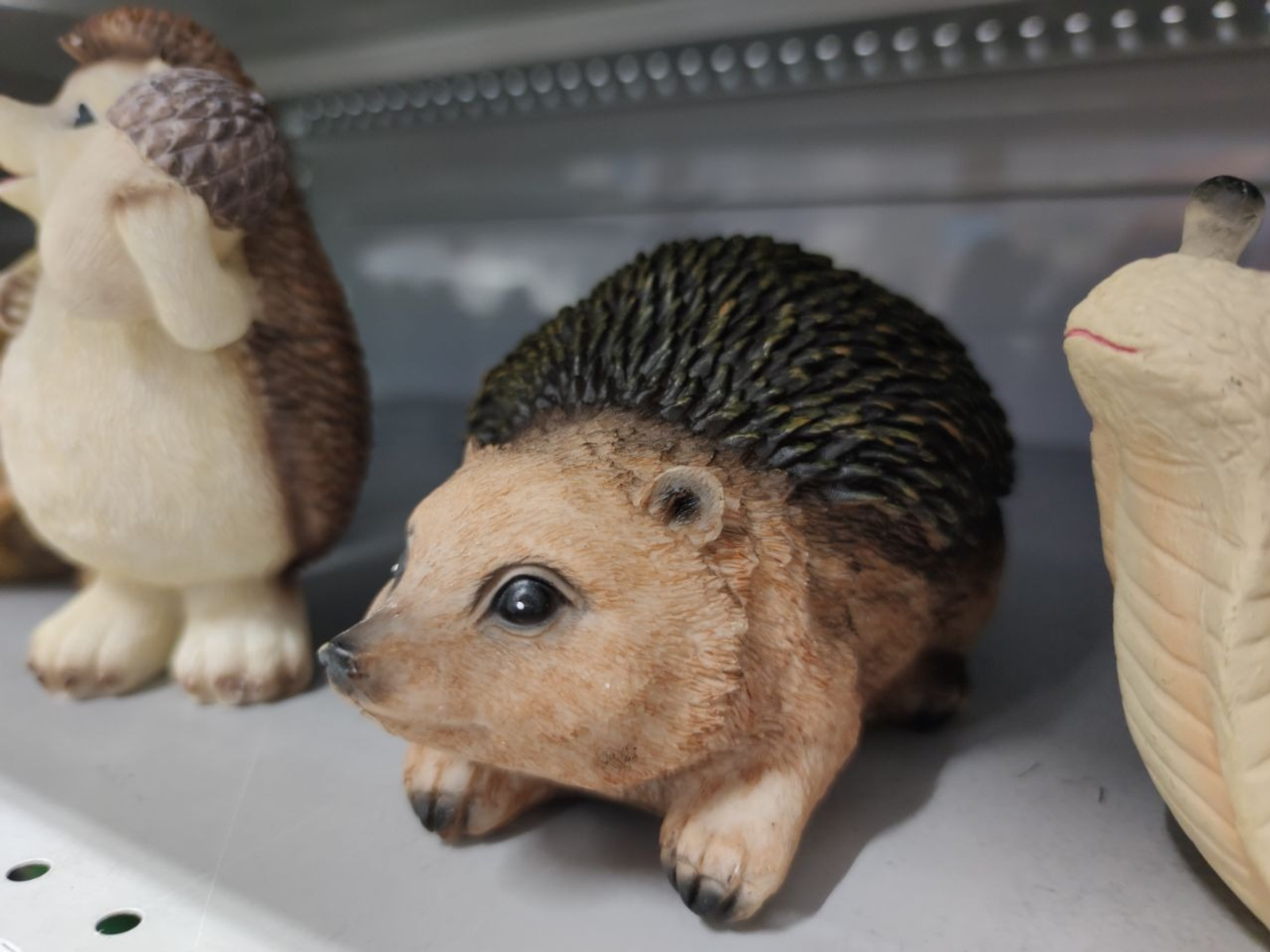 Дарьи Святохиной. «Общественная электронная газета».