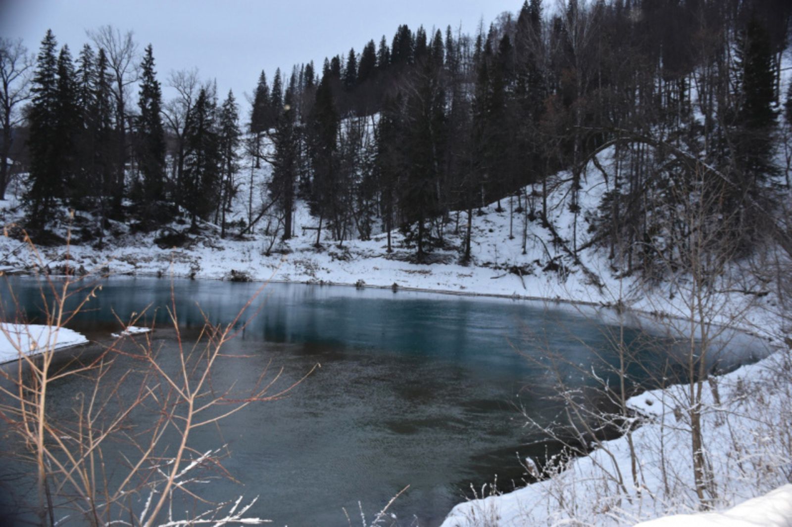 Фото Елены Колоколовой.