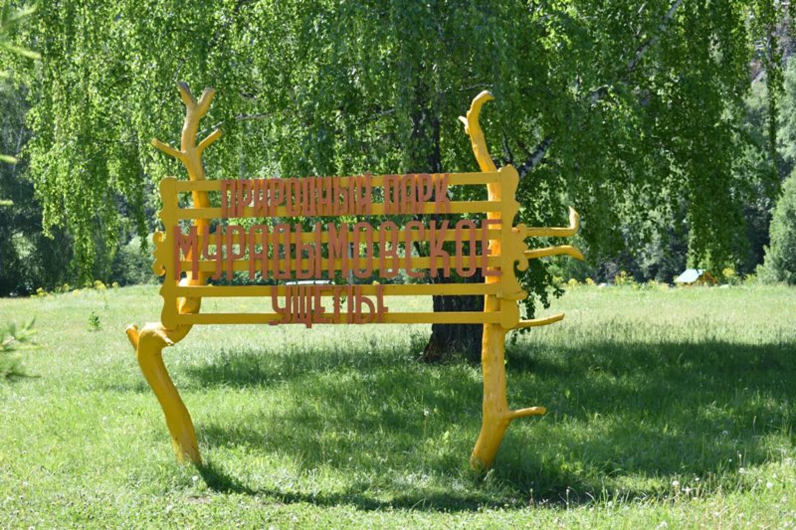 Фото автора.