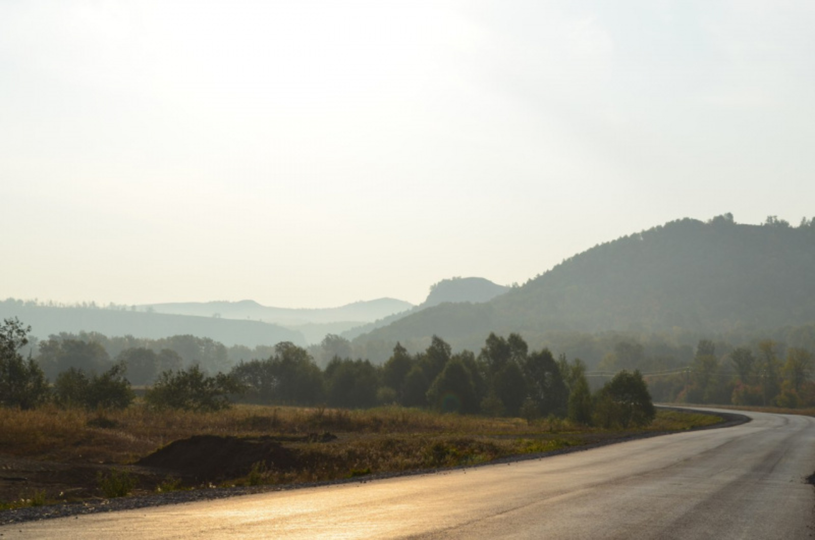 Фото автора.