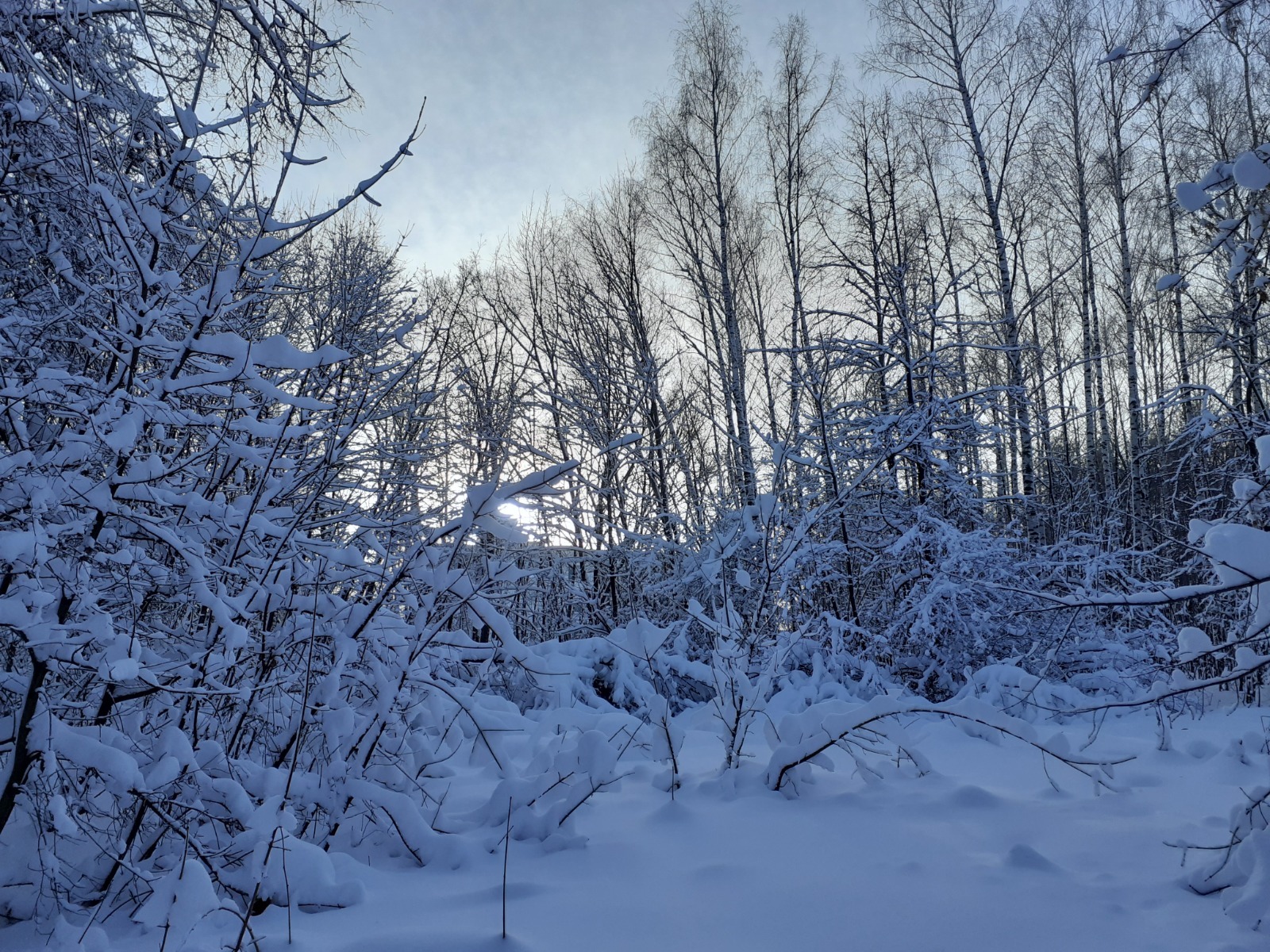 Владимира Шакиева.