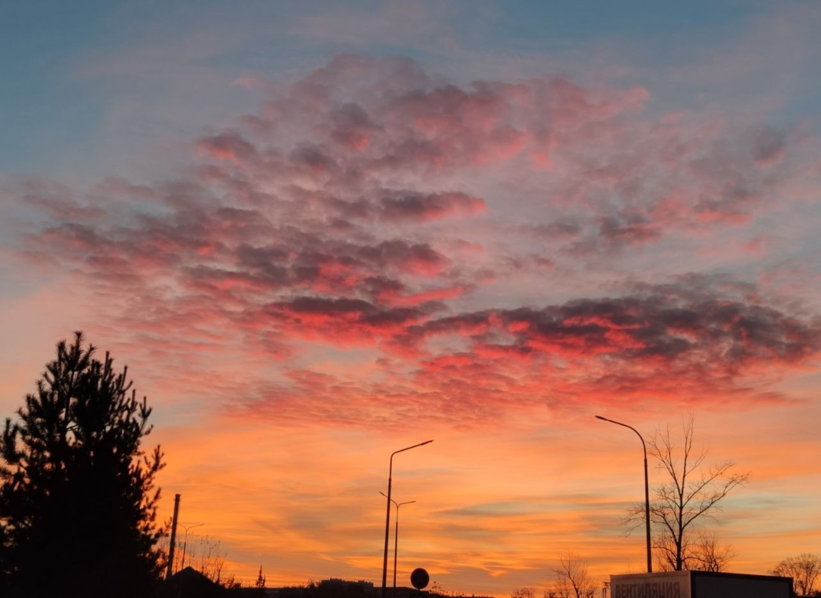 Дарьи Святохиной. «Общественная электронная газета».