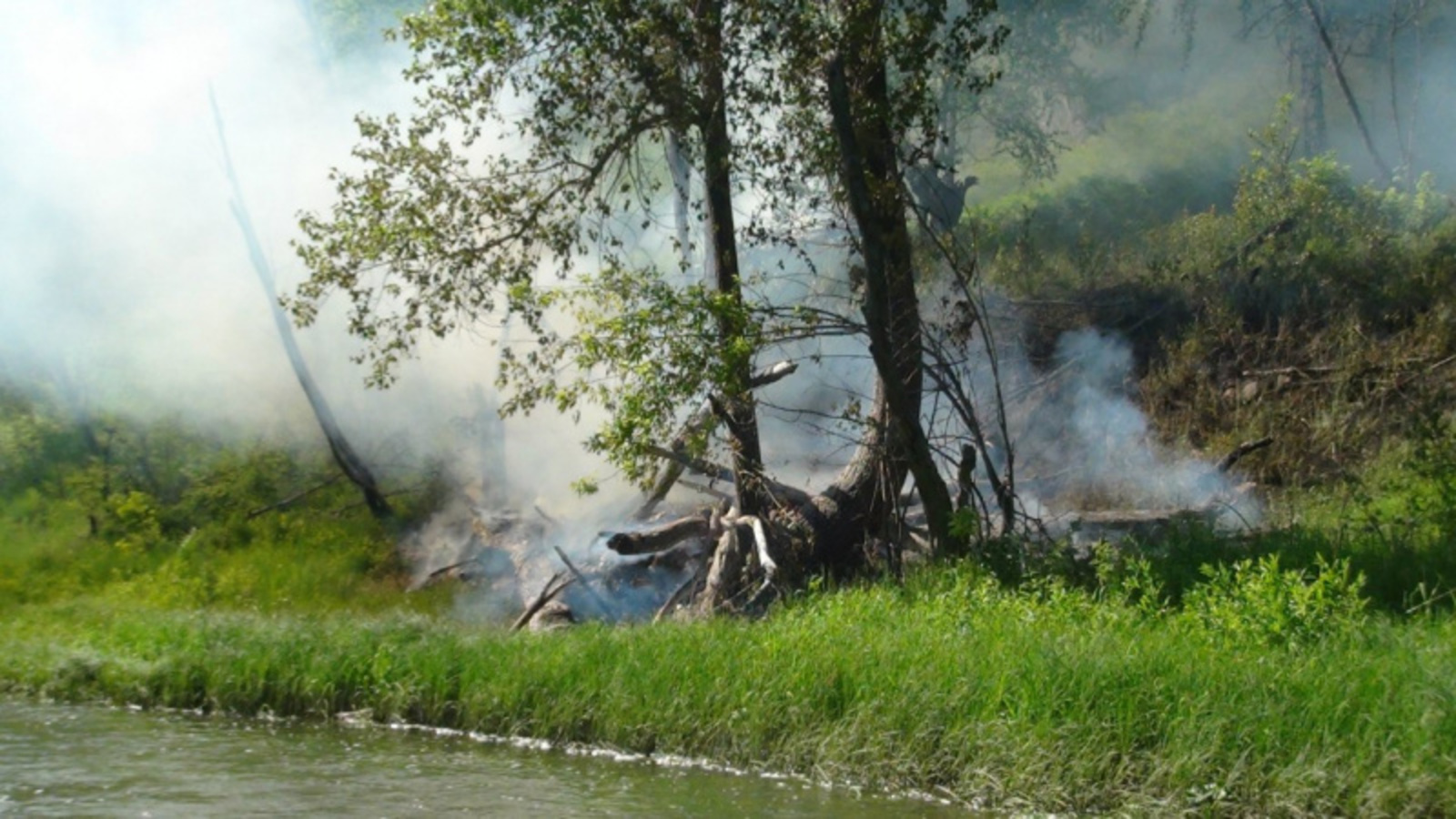 Фото автора.