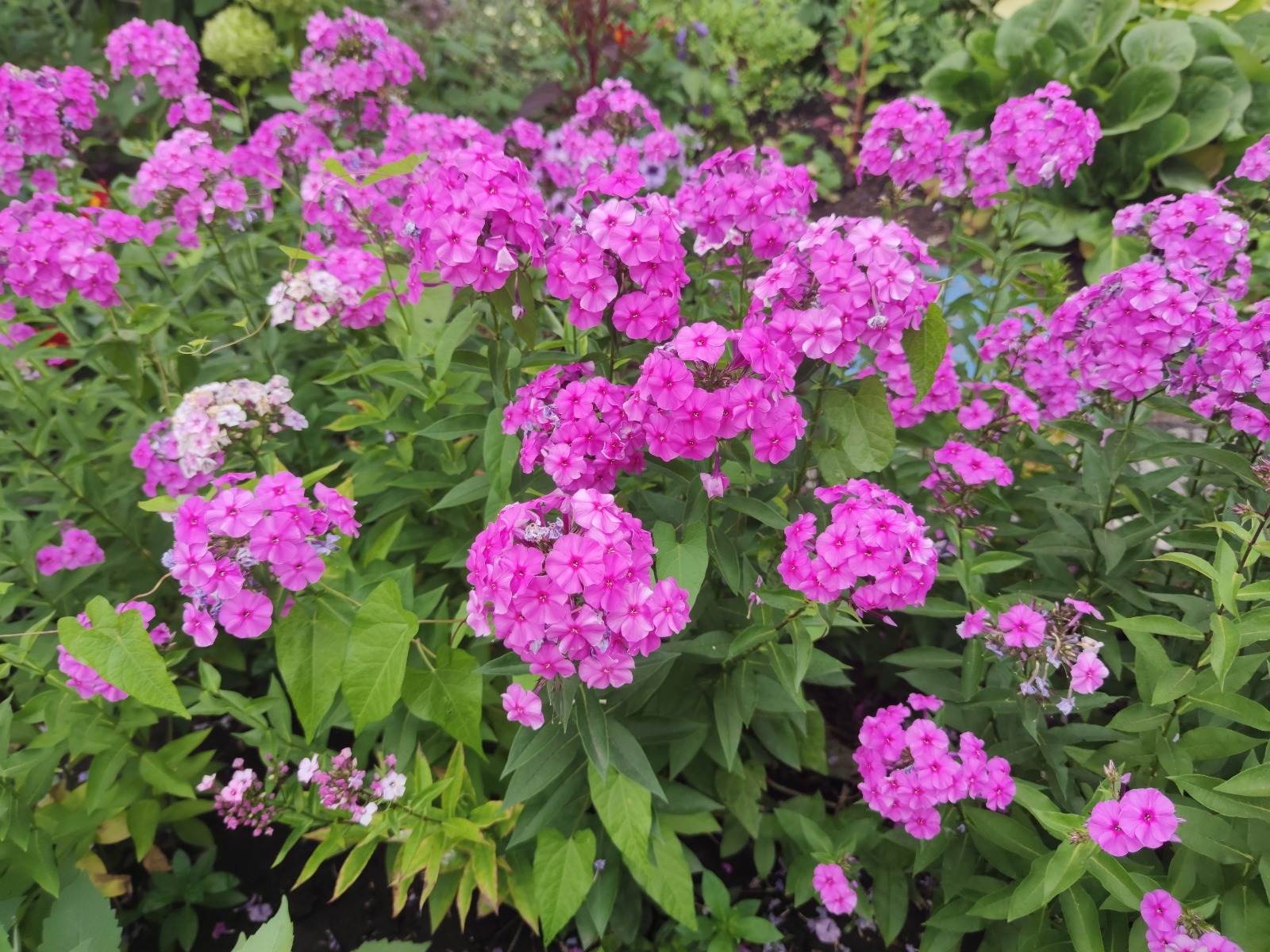 Дарьи Святохиной.