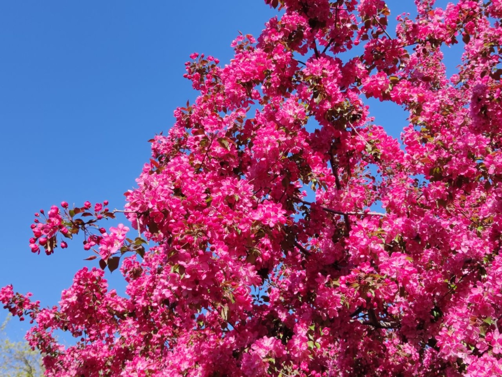 Дарьи Святохиной.