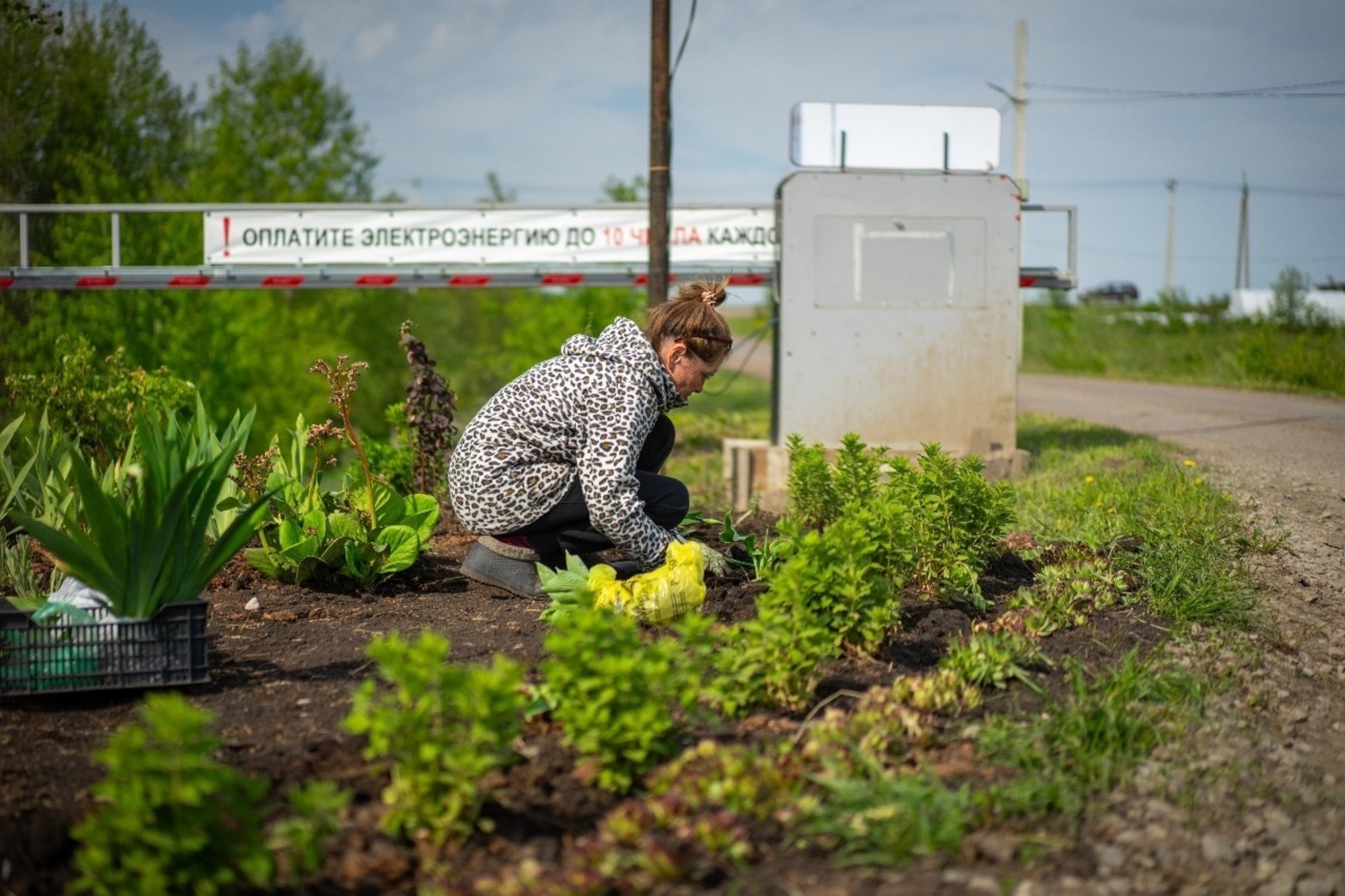 Vk, личная страница Радия Хабирова.