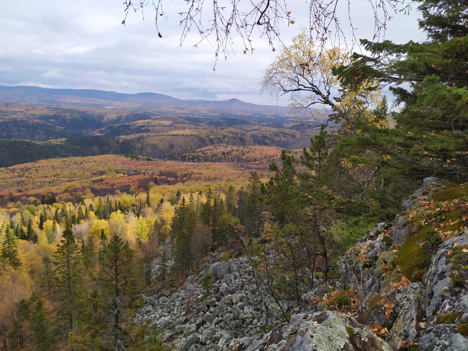 Васили Саитовой.