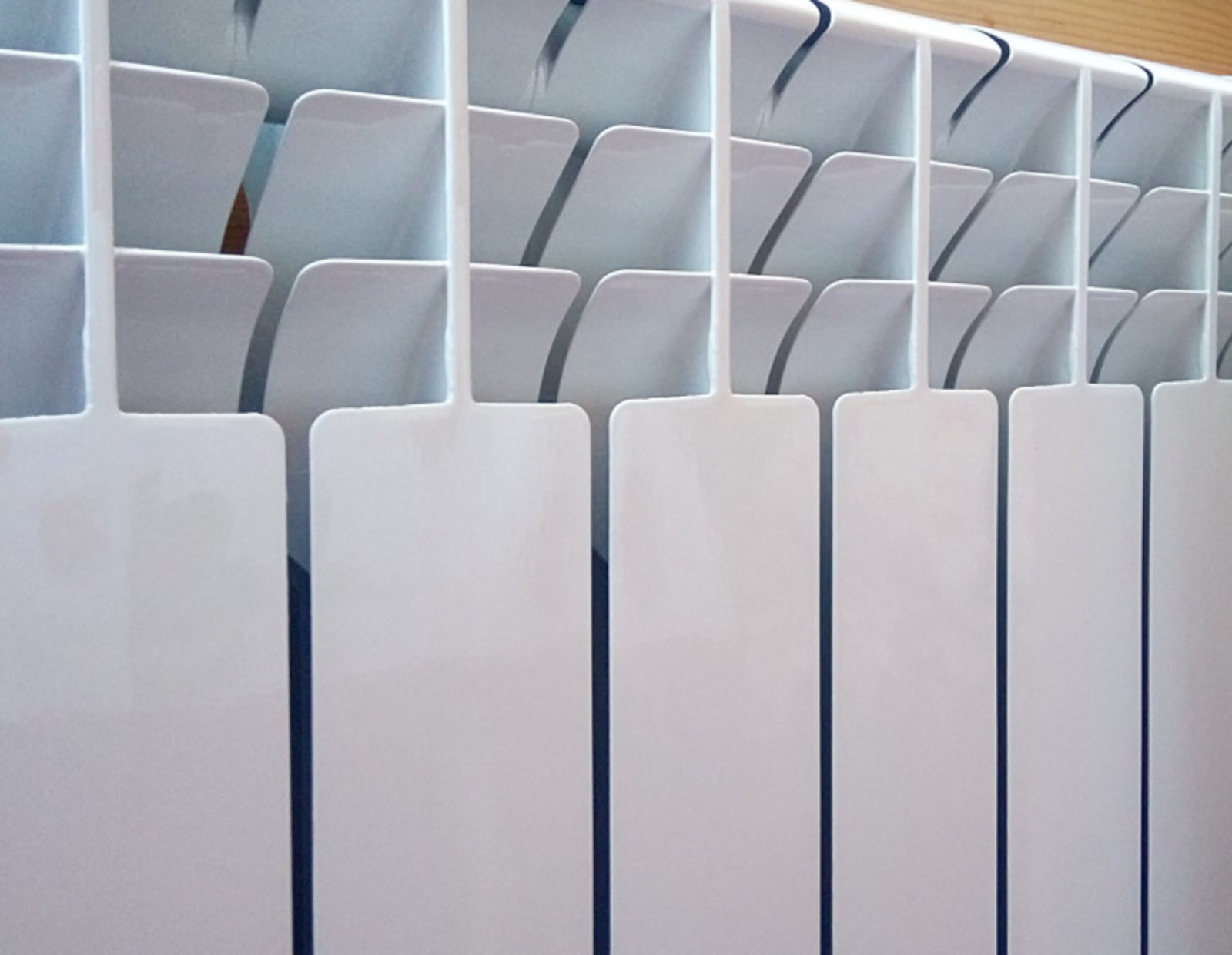 Фото Васили Саитовой.